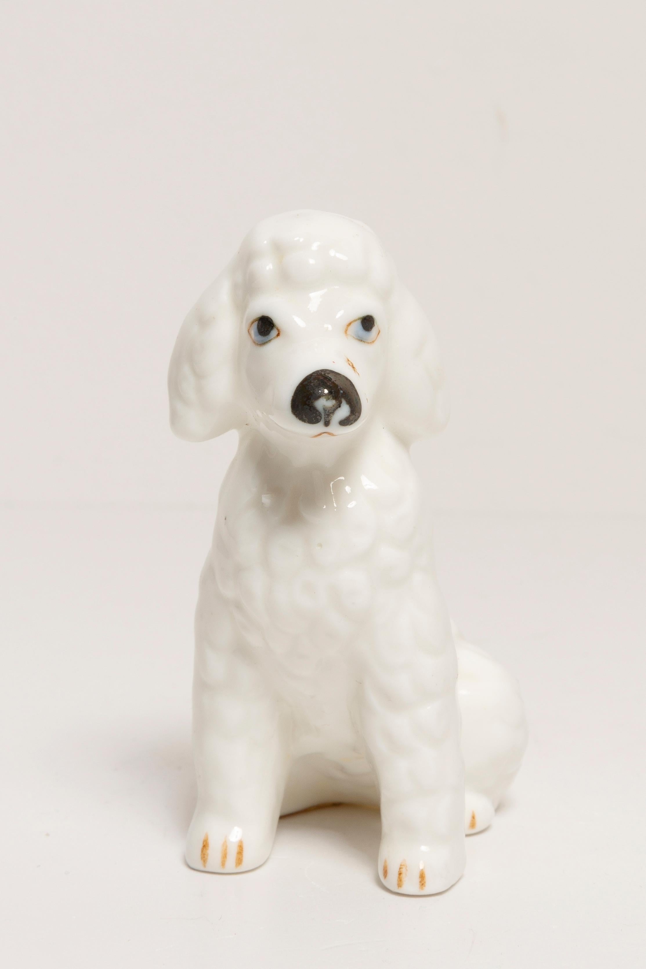 Ceramic 20th Century Mini White Poodle Dog Sculpture, Italy, 1960s For Sale