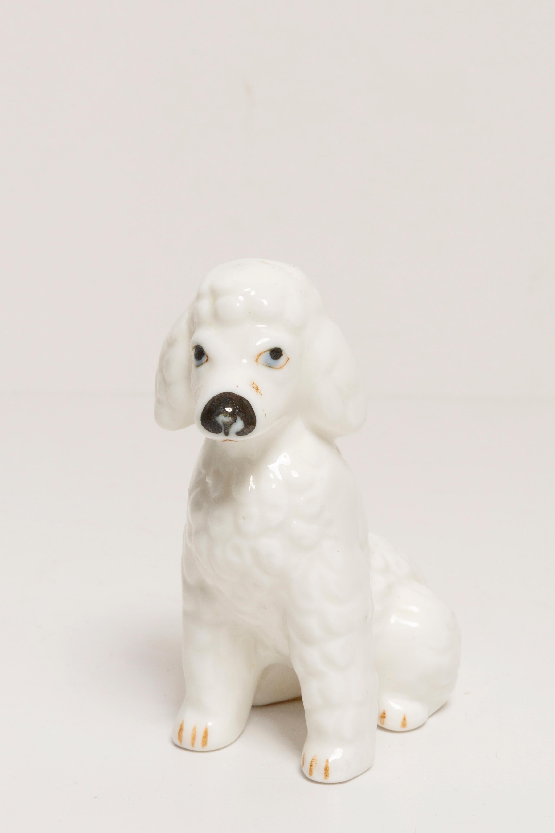 Céramique peinte, très bon état d'origine vintage. Pas de dommages ni de fissures. Belle et unique sculpture décorative. La sculpture Mini White Poodle Dog a été produite en Italie. Un seul chien disponible.