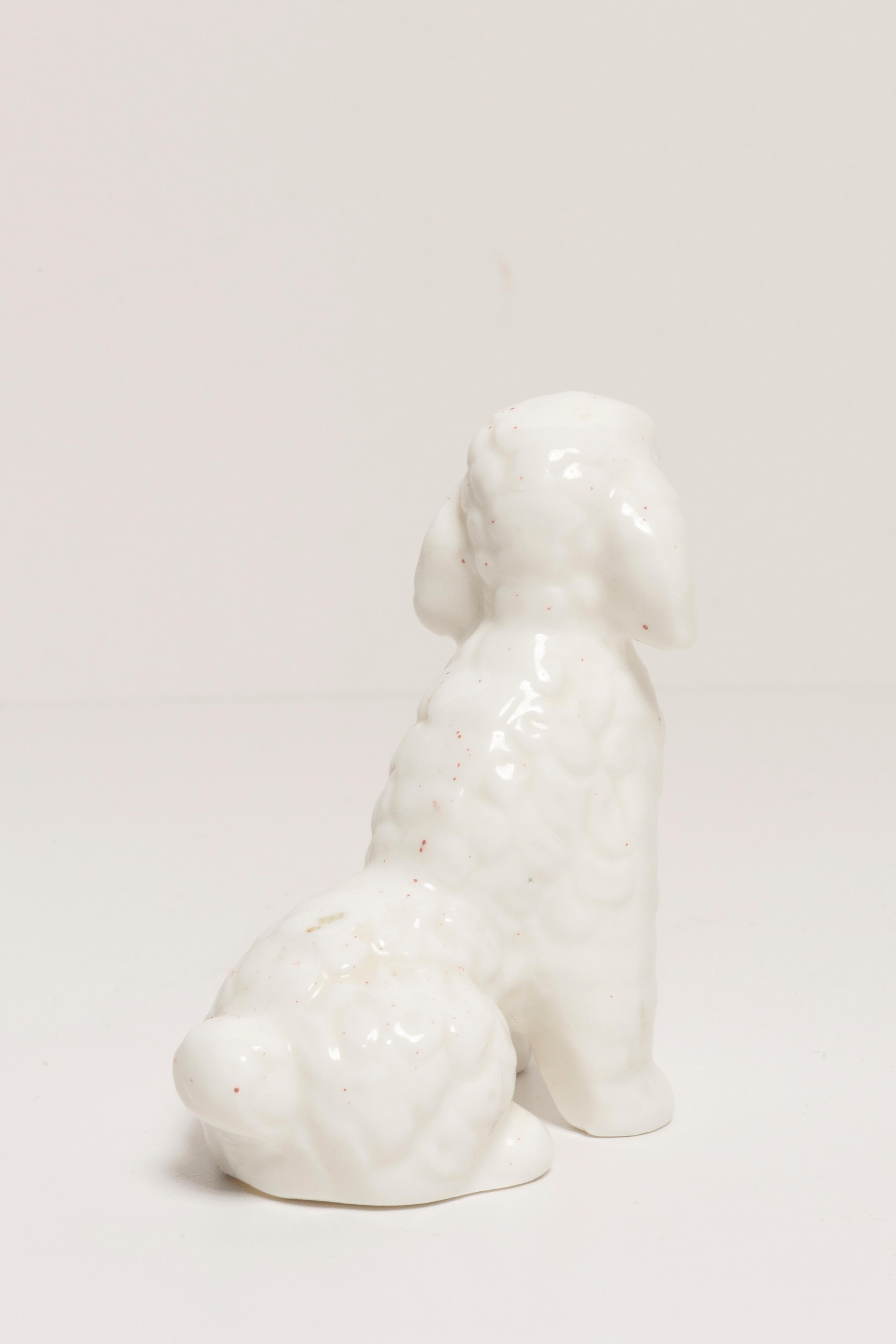 italien Mini sculpture de chien caniche blanc du 20ème siècle, Italie, années 1960 en vente