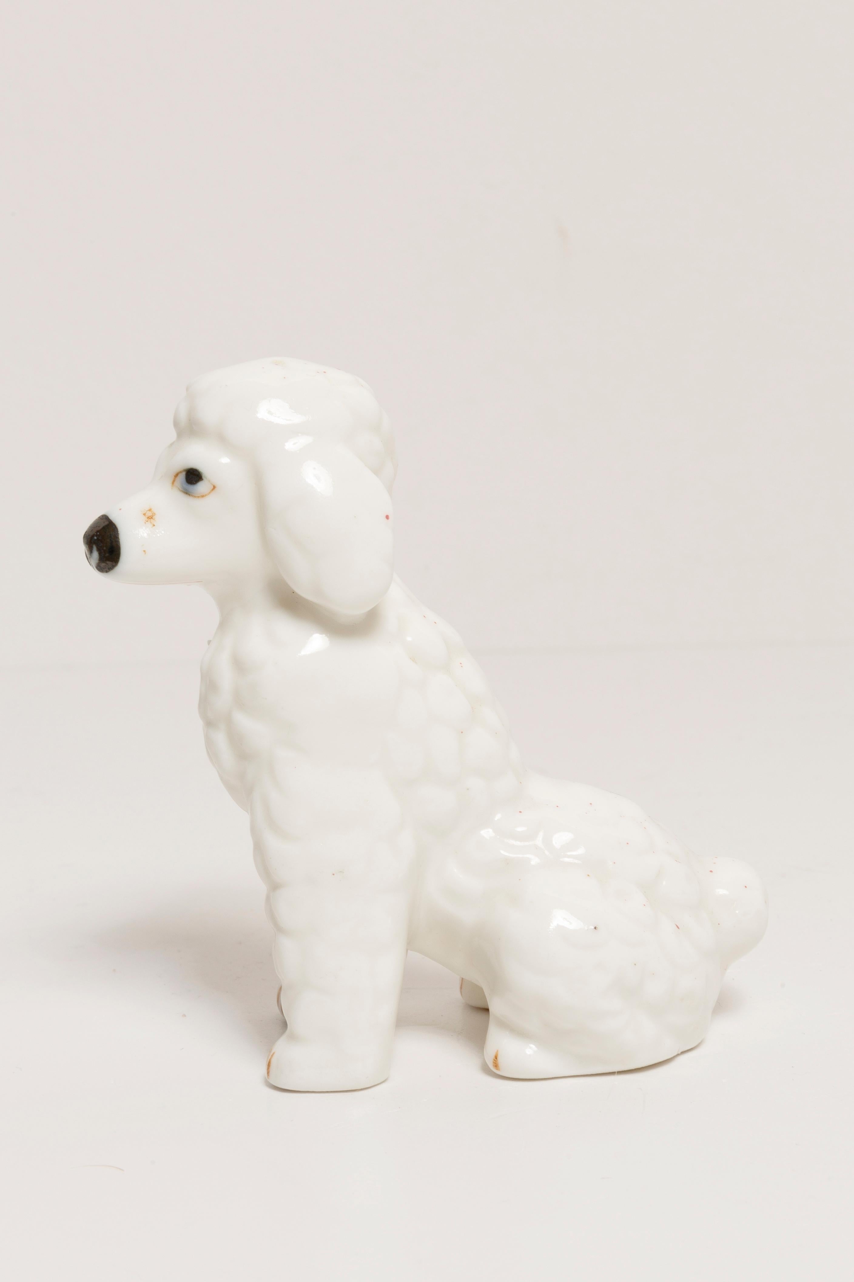 Hand-Painted 20th Century Mini White Poodle Dog Sculpture, Italy, 1960s For Sale