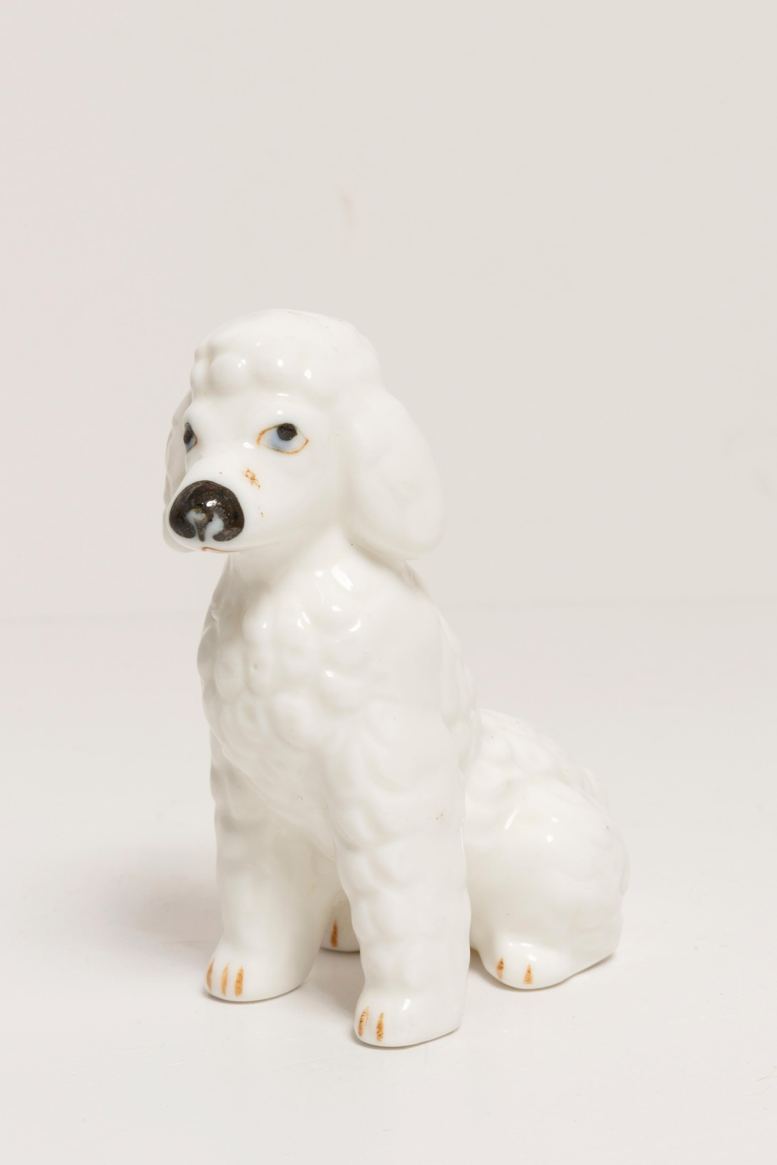 20th Century Mini White Poodle Dog Sculpture, Italy, 1960s In Good Condition For Sale In 05-080 Hornowek, PL
