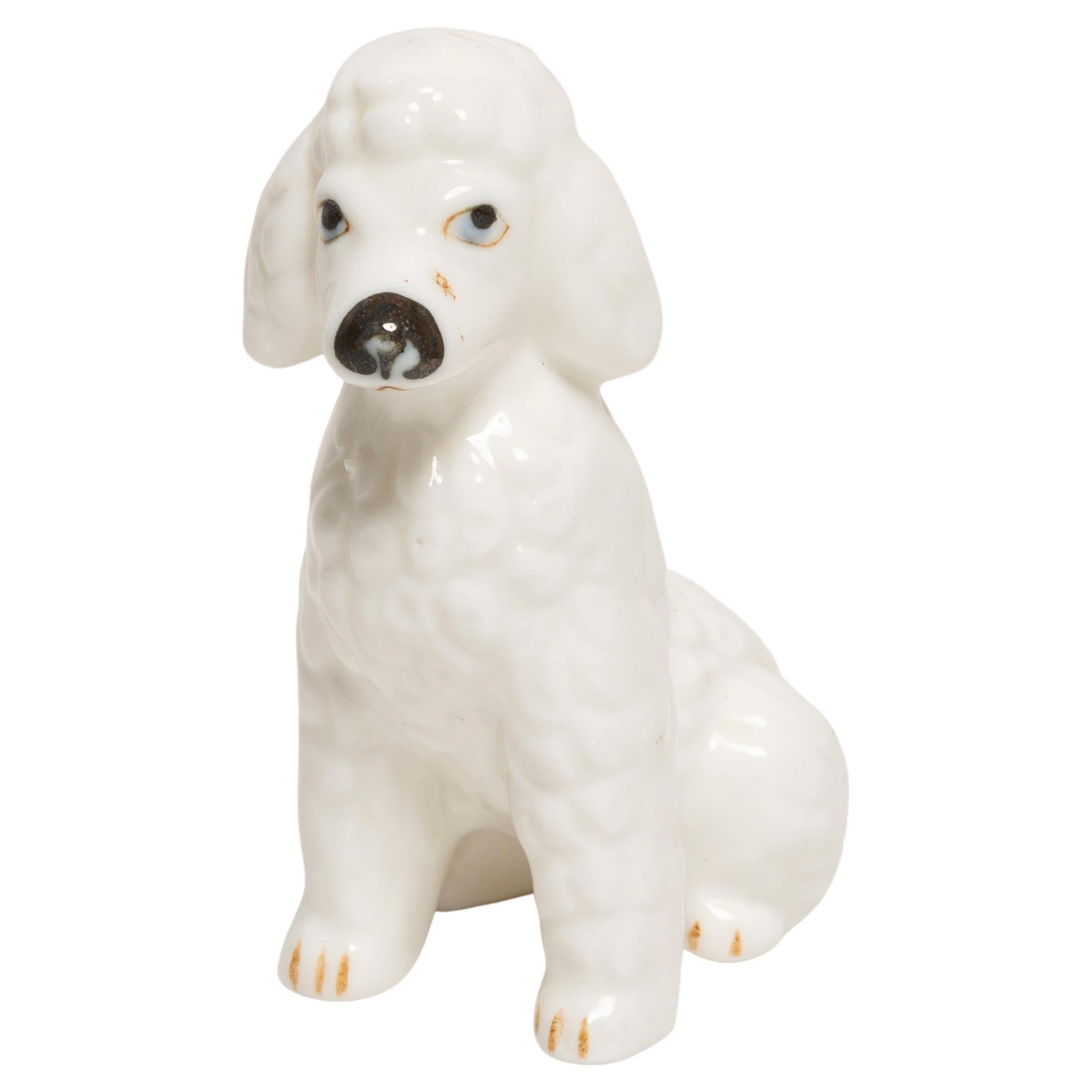 20th Century Mini White Poodle Dog Sculpture, Italy, 1960s For Sale