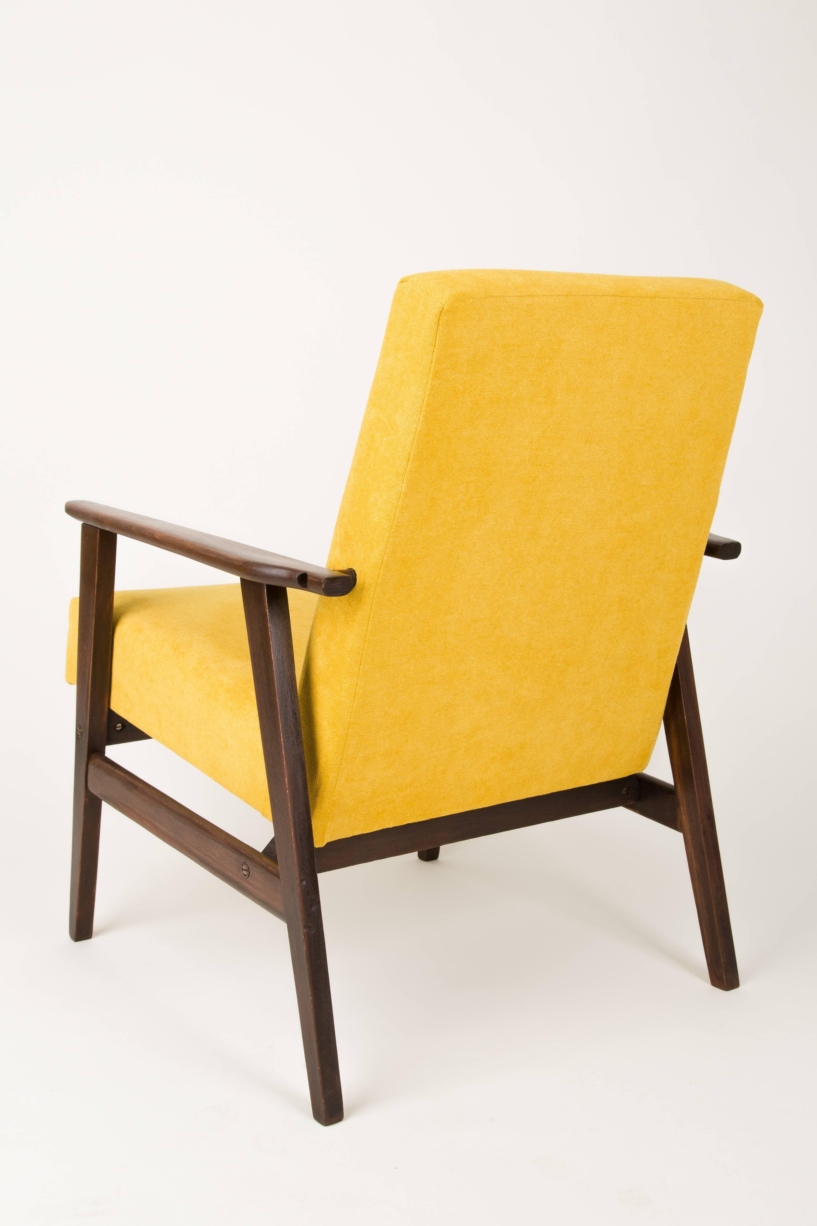 Velvet 20th Century Mustard Yellow Dante Armchair, 1960s For Sale