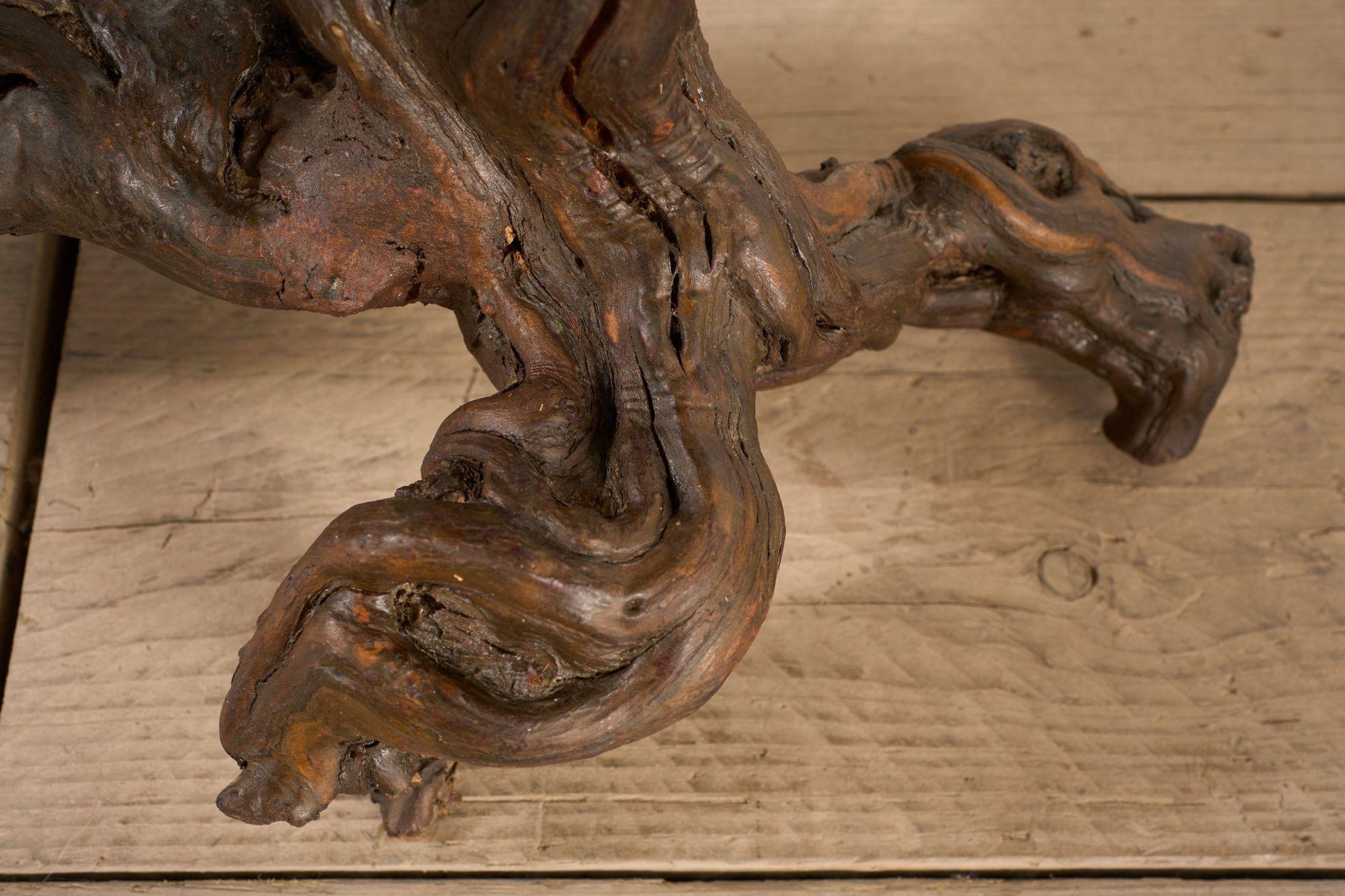 Siglo XX Mesa de centro de raíz naturalista en venta 4