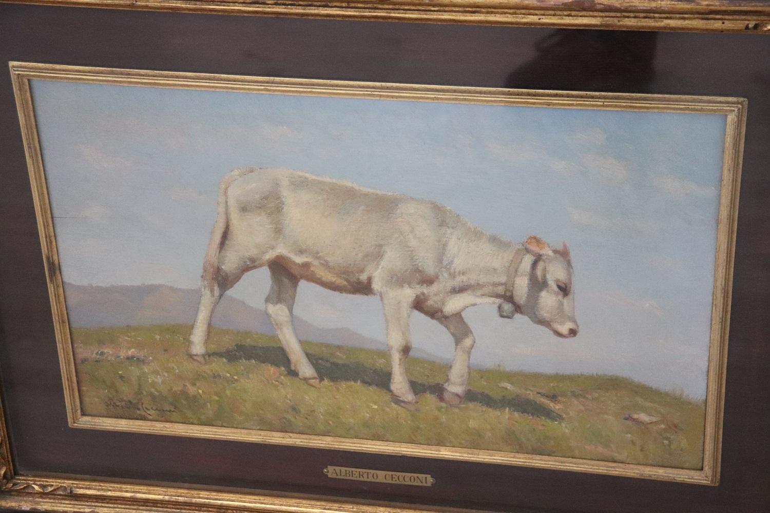 Beautiful oil painting on board. A splendid countryside with grazing calf in the foreground. Excellent pictorial quality.  Signed on the front lower right Alberto Cecconi. On the front in the frame is an engraved brass plaque ALBERTO CECCONI. No
