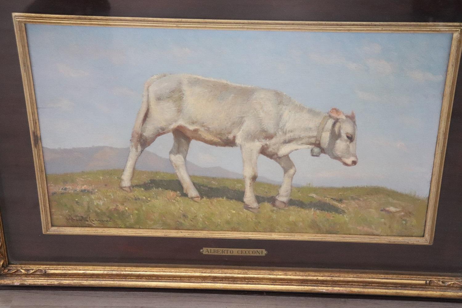 Oiled 20th Century Oil on Board Italian Painting with Calf, Signed Alberto Cecconi For Sale