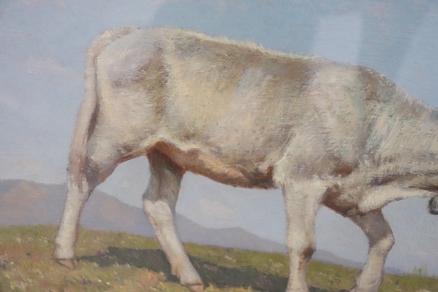 20th Century Oil on Board Italian Painting with Calf, Signed Alberto Cecconi For Sale 2