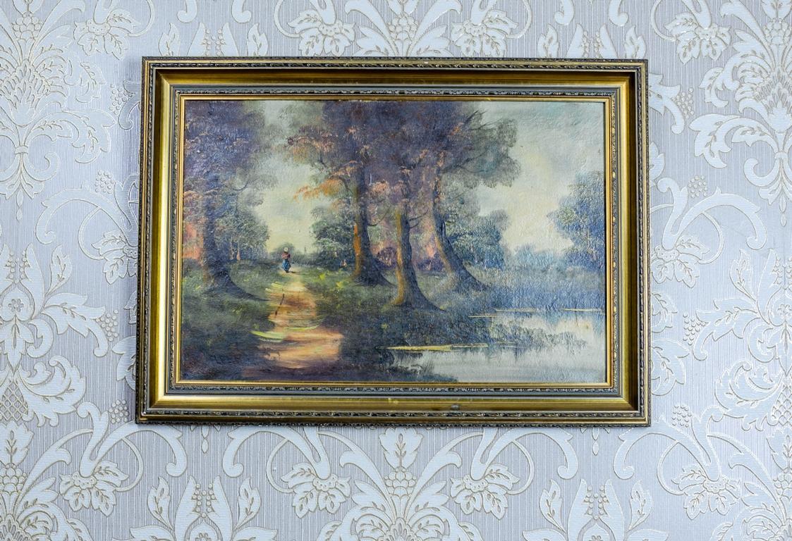 We present you an oil on canvas depicting the forest landscape.
The signature is unidentified.
The whole is closed in a wooden frame, which is decorated with molding in the color of quenched gold.