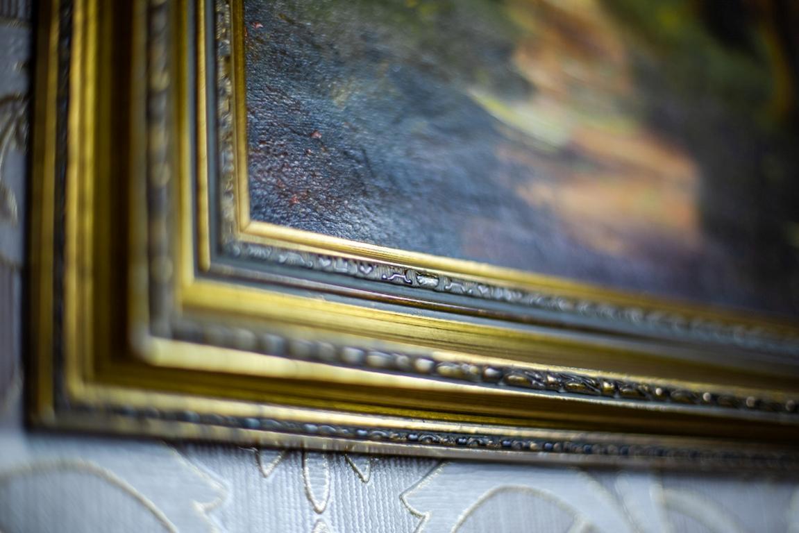 Olio su tela del XX secolo raffigurante un paesaggio forestale in vendita 4
