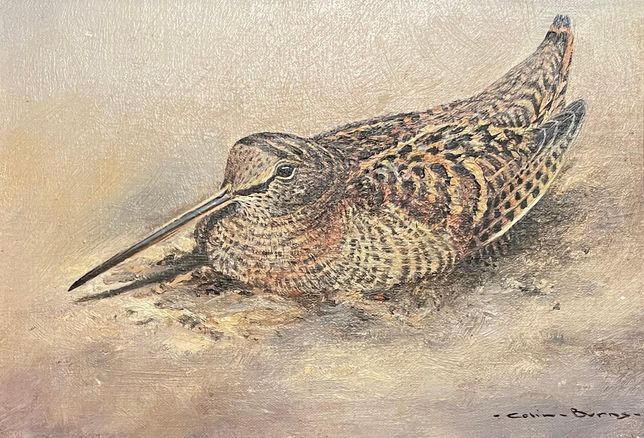 Very fine Mid 20th Century oil on canvas painting of a resting Woodcock with good naturalistic colour, signed Colin Burns to lower right. Framed in original wooden veneered frame with Tryon Gallery label to rear.
ADDITIONAL INFORMATION
Framed