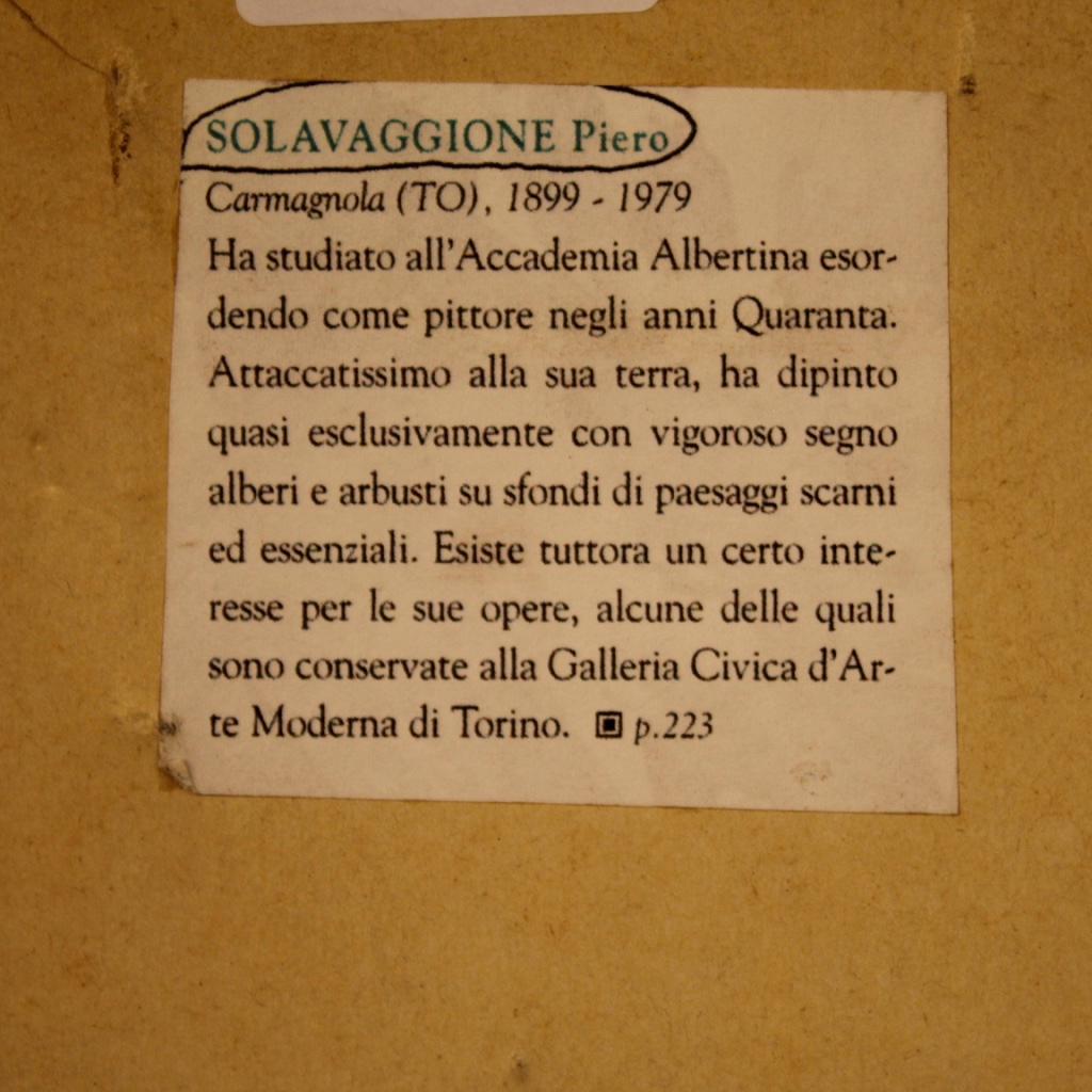 Piero Solavaggione 20th Century Oil On Cardboard Italian Still Life Painting In Good Condition In Vicoforte, Piedmont