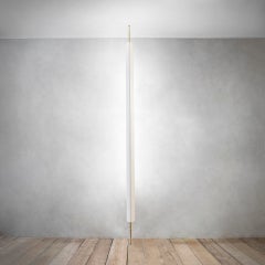 20th Century Osvaldo Borsani for Tecno LT8 Sky-Ground Lamp 1960 Brass and Neon