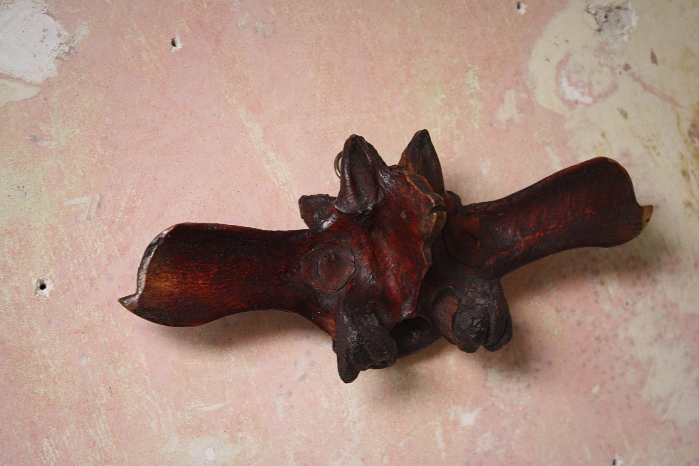 20th Century Outsider Folk Art Hand Carved Bone Vertebrae Bat 3