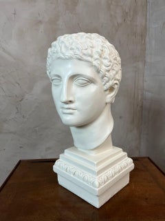 20th century Painted Plaster Apollo Bust, 1950s