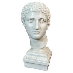20th century Painted Plaster Apollo Bust, 1950s