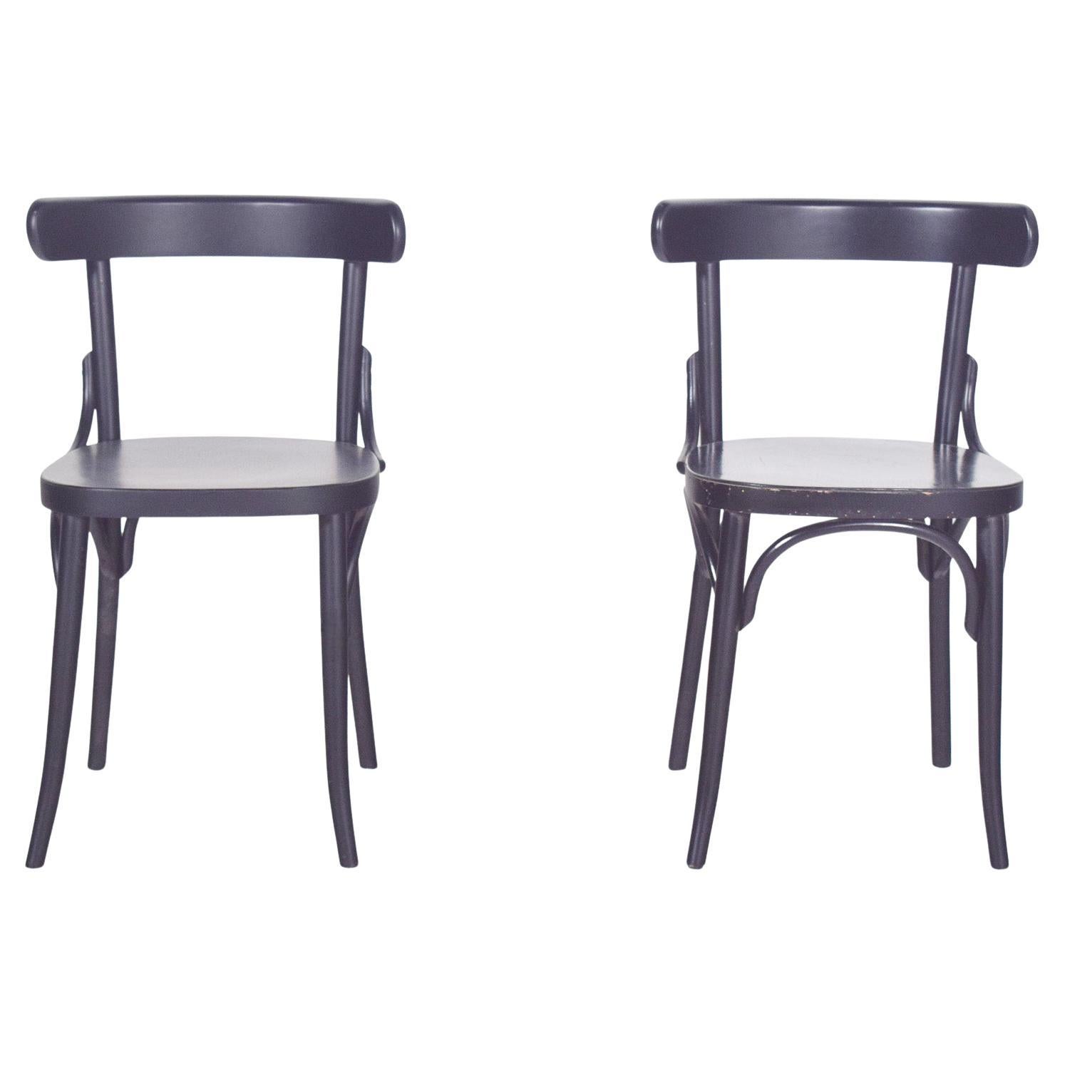 Paire de chaises laquées noires du 20e siècle en vente