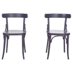 Paire de chaises laquées noires du 20e siècle