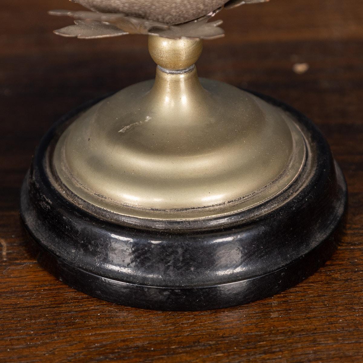 20th Century Pair of Carved Emu Eggs, Australia, circa 1900 5