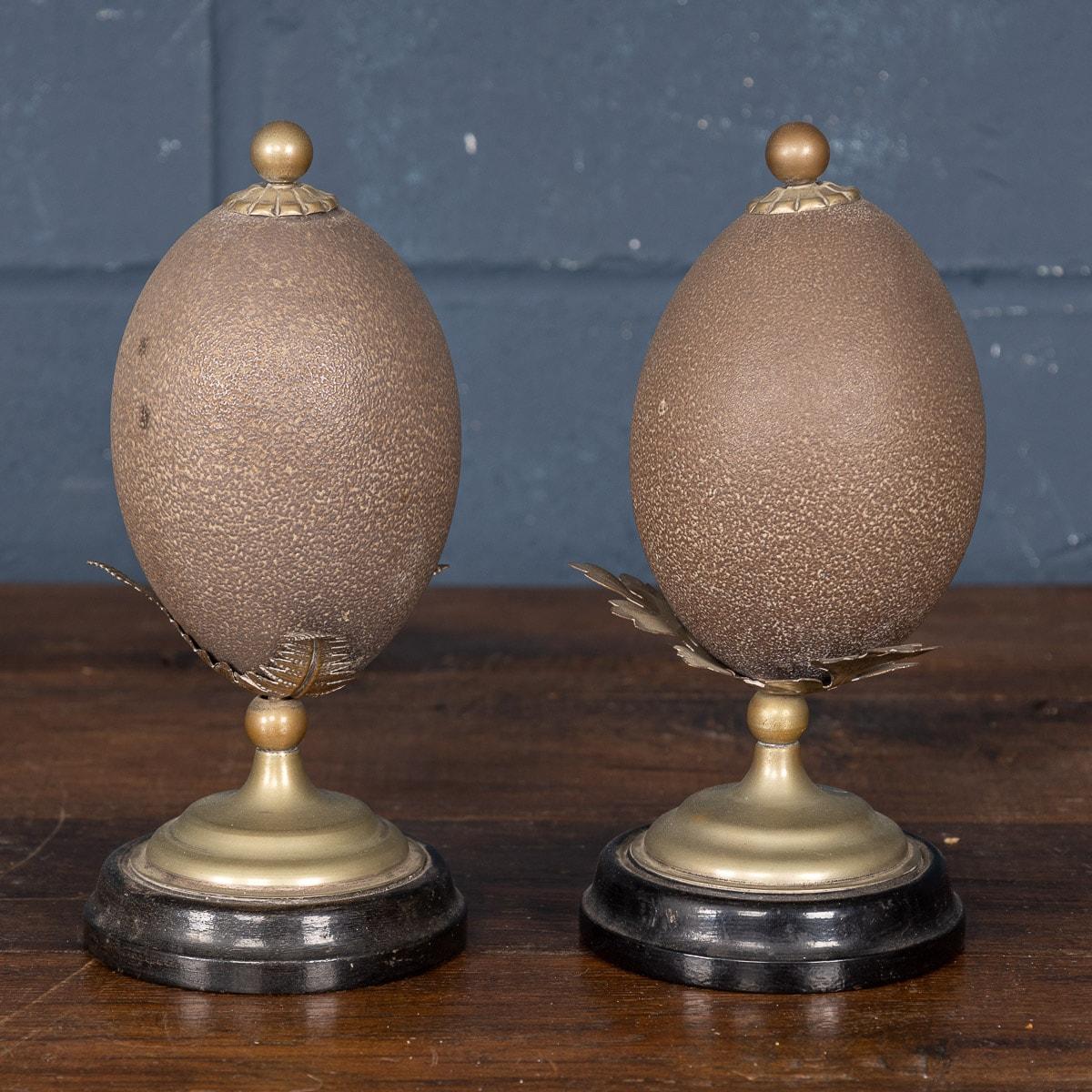 emu eggs carved