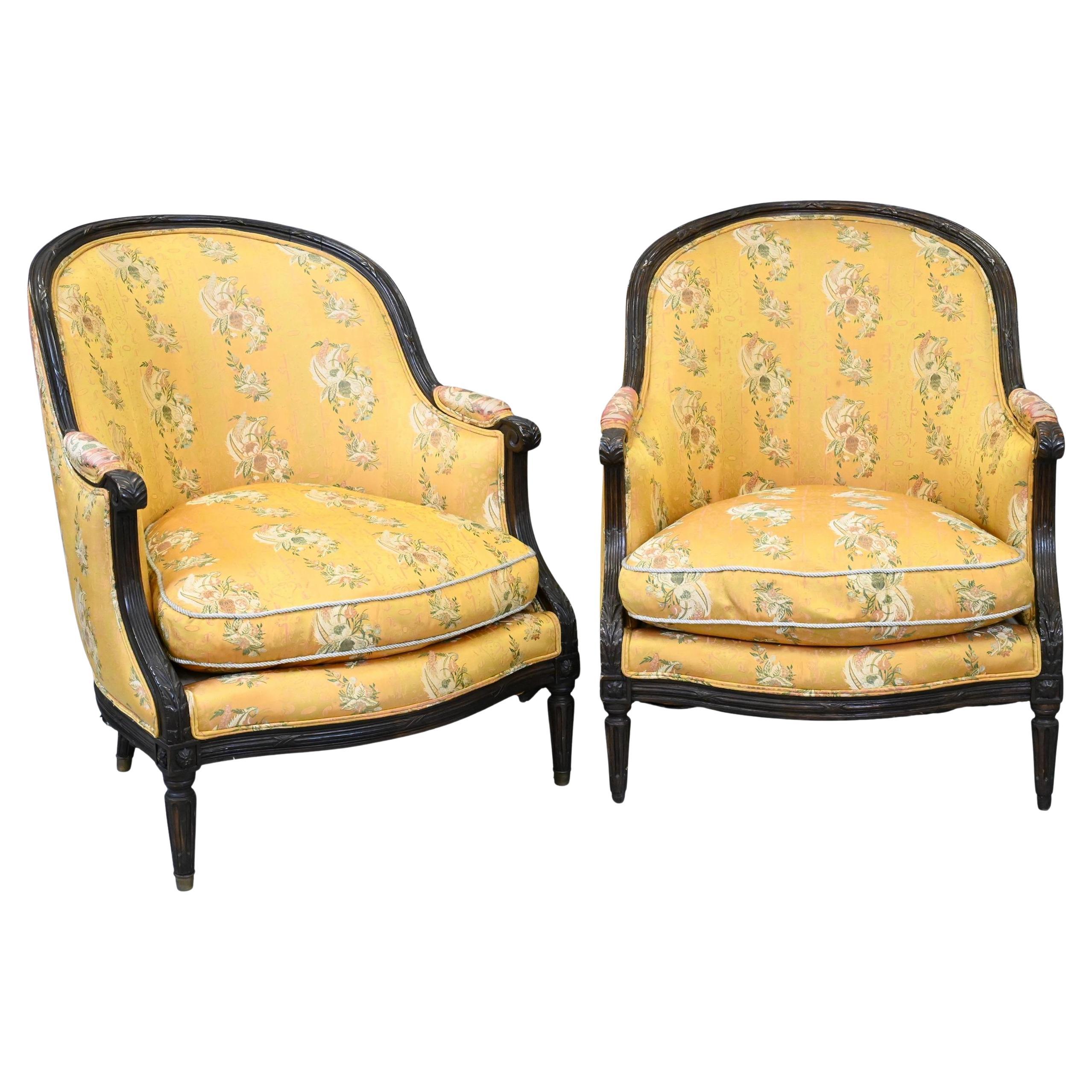 Paire de fauteuils Bergère de style Louis XVI du 20e siècle