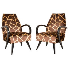 20th Century Pair of Giraffe Brown and Beige Armchairs, 1960s