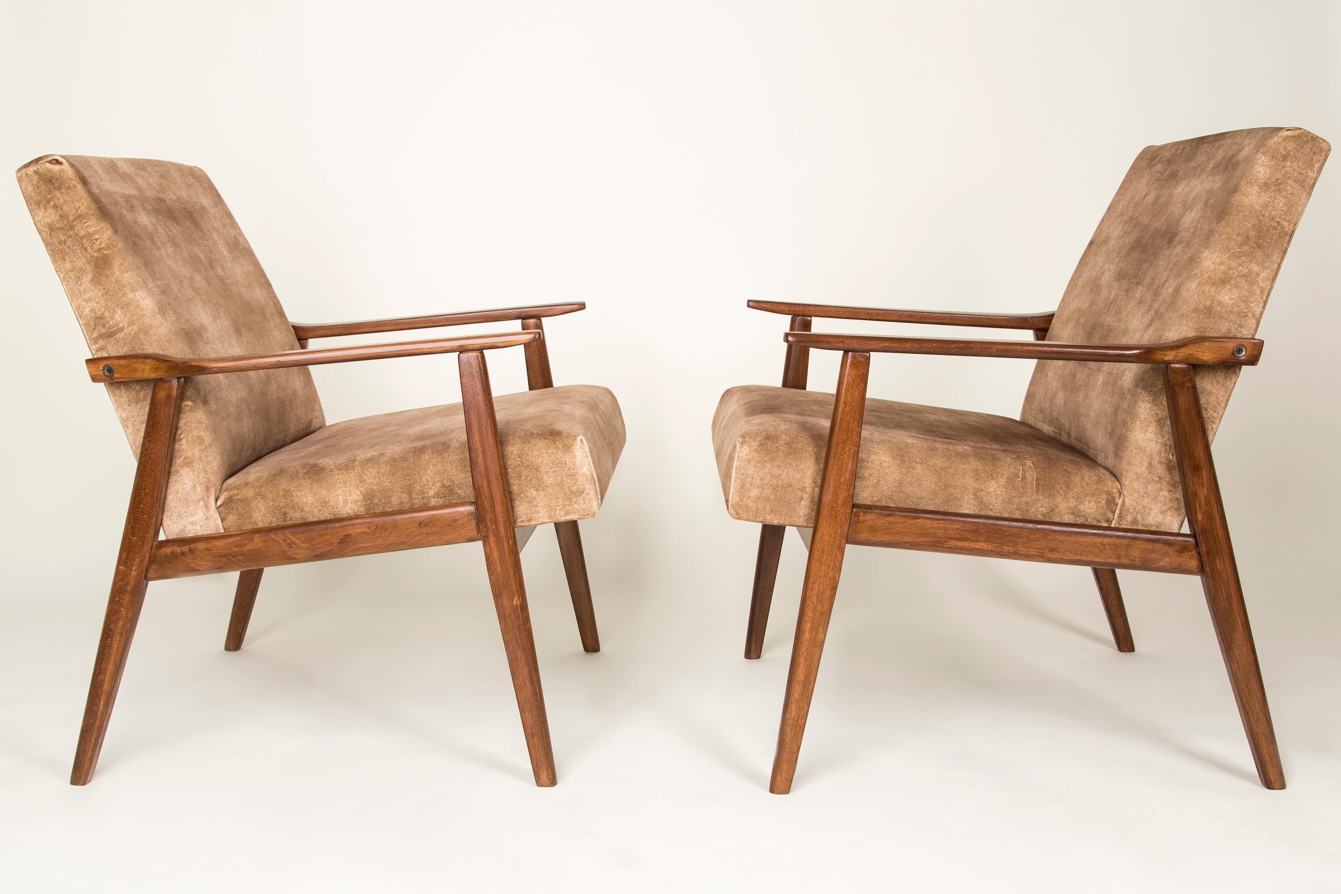 Mid-Century Modern 20th Century Pair of Lion Beige Dante Armchairs, 1960s For Sale