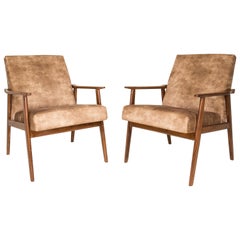 20th Century Pair of Lion Beige Dante Armchairs, 1960s