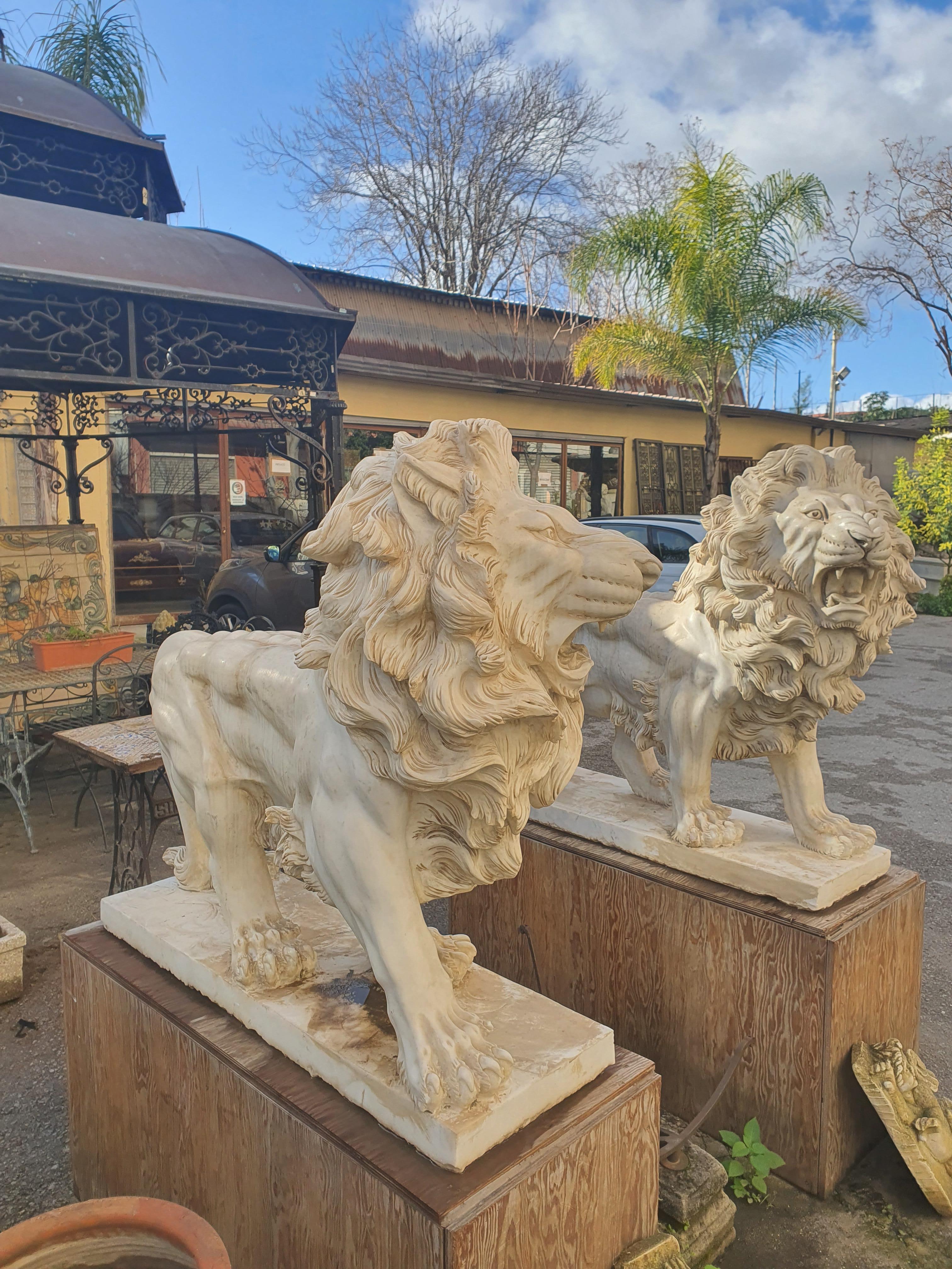 Paar Löwen-Skulpturen aus Bildhauermarmor, fein geschnitzt, 20. Jahrhundert im Angebot 1