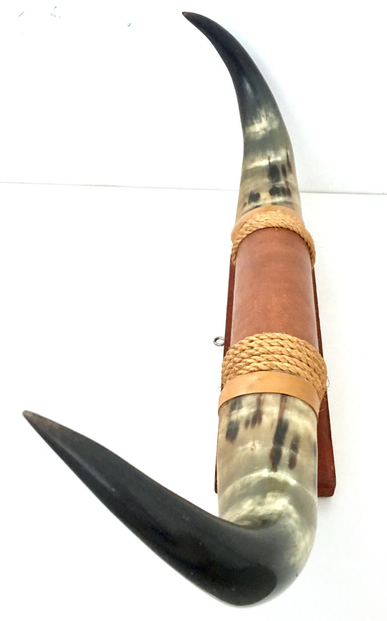 20th Century Pair of Mounted Texas Long Horns at 1stDibs