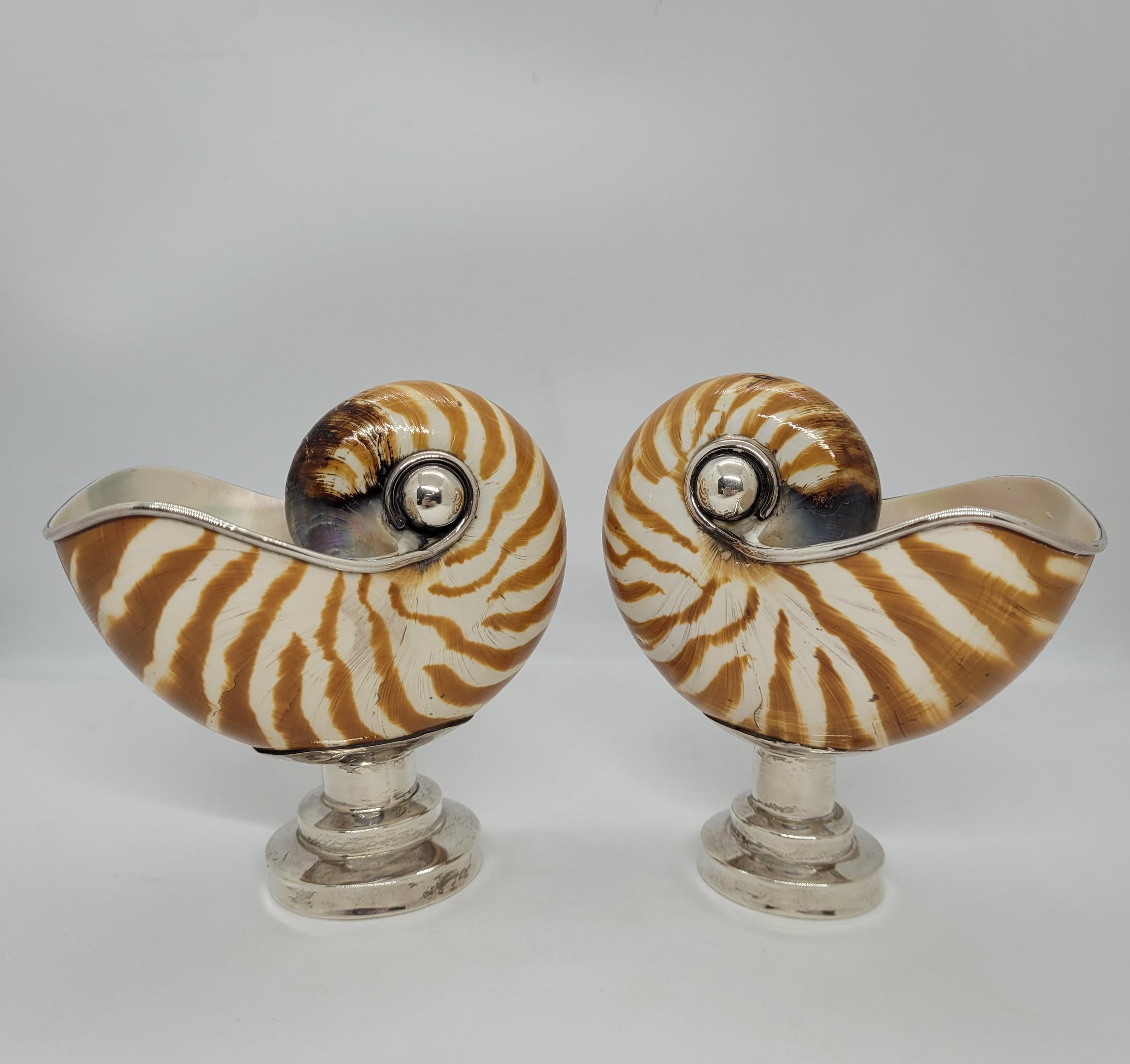 On of a kind  pair of nautilus set in 925 sterling silver, with a highly refined garnish. They come from England, from the beginning of the 20th century. Beginning in the 16th century, nautilus shells from the Pacific Ocean became highly valued by
