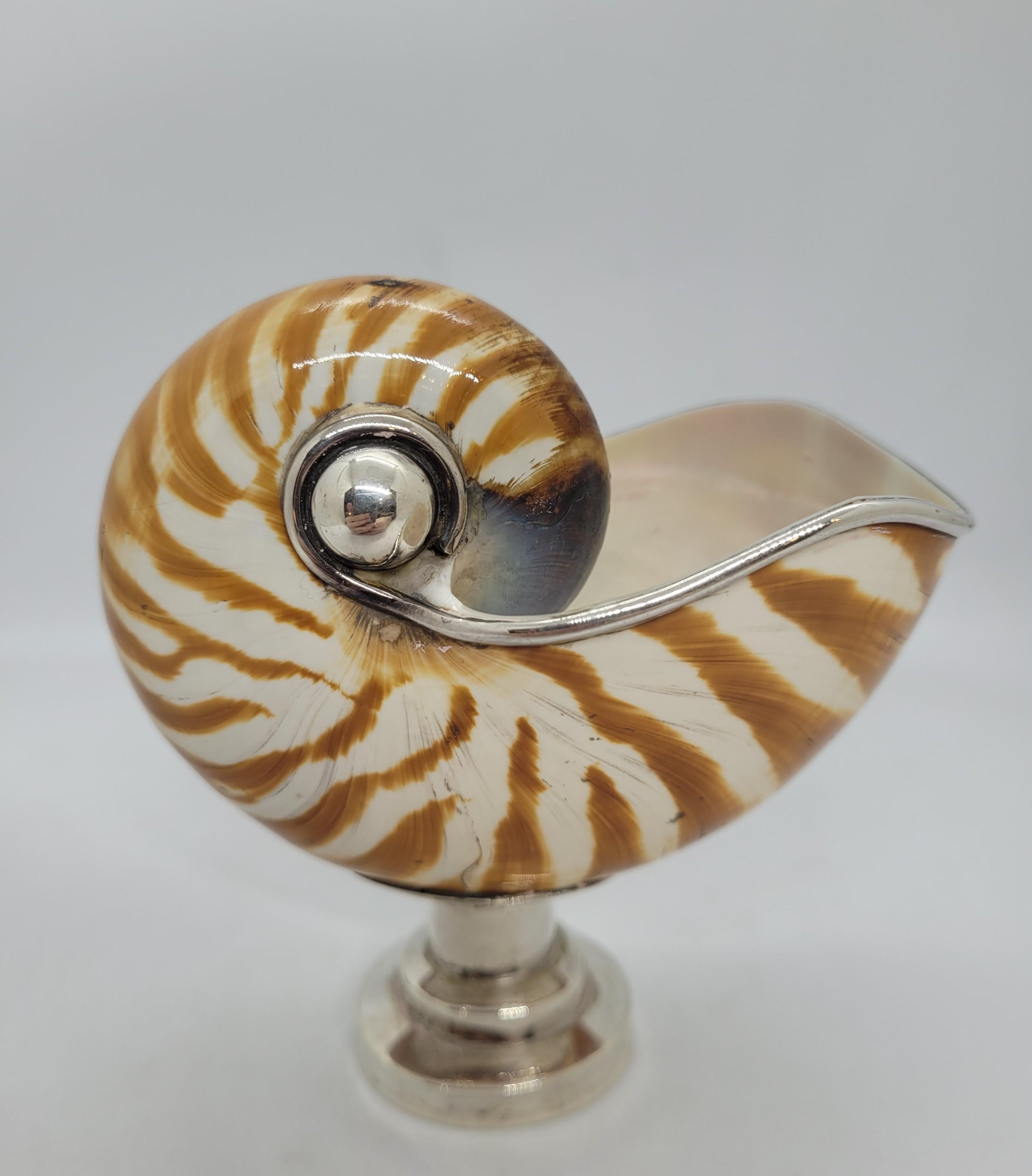 Early 20th Century 20th century pair of Nautilus with silver garnish, England