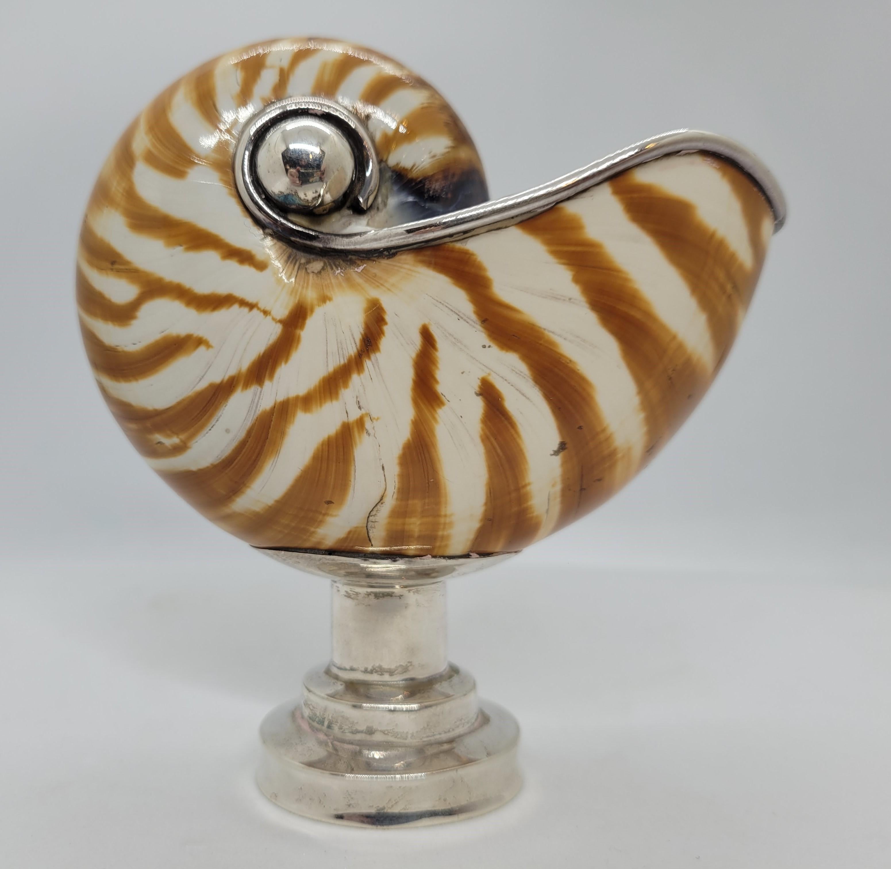 Shell 20th century pair of Nautilus with silver garnish, England