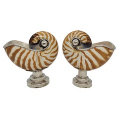 20th century pair of Nautilus with silver garnish, England