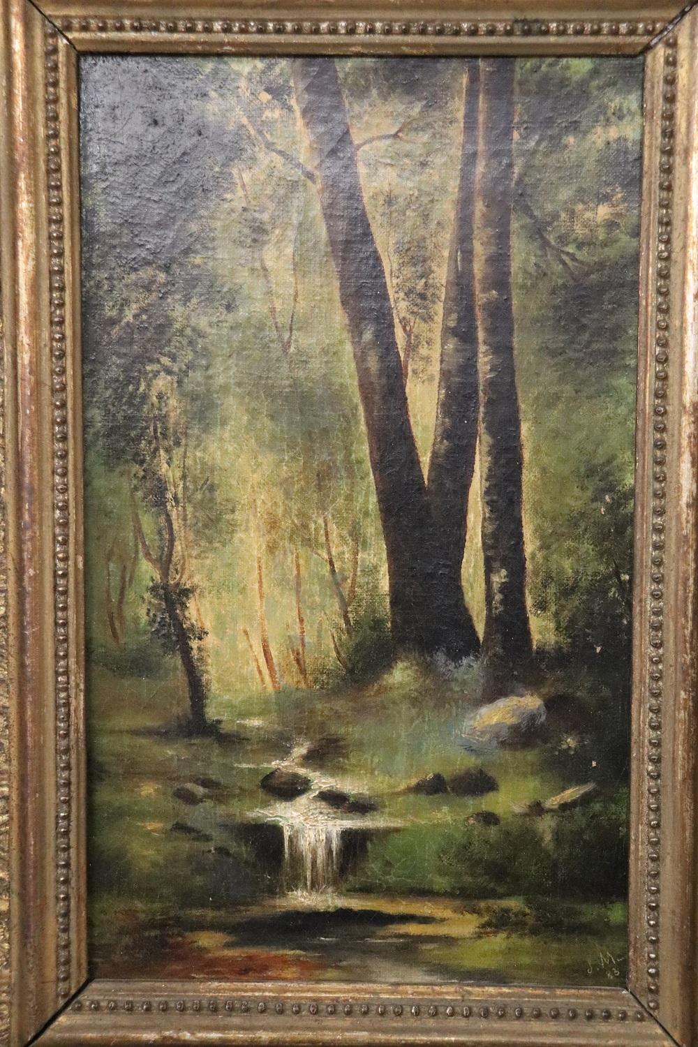 Late 19th Century 19th Century Pair of Oil Painting on Canvas Woodland Landscapes, Signed