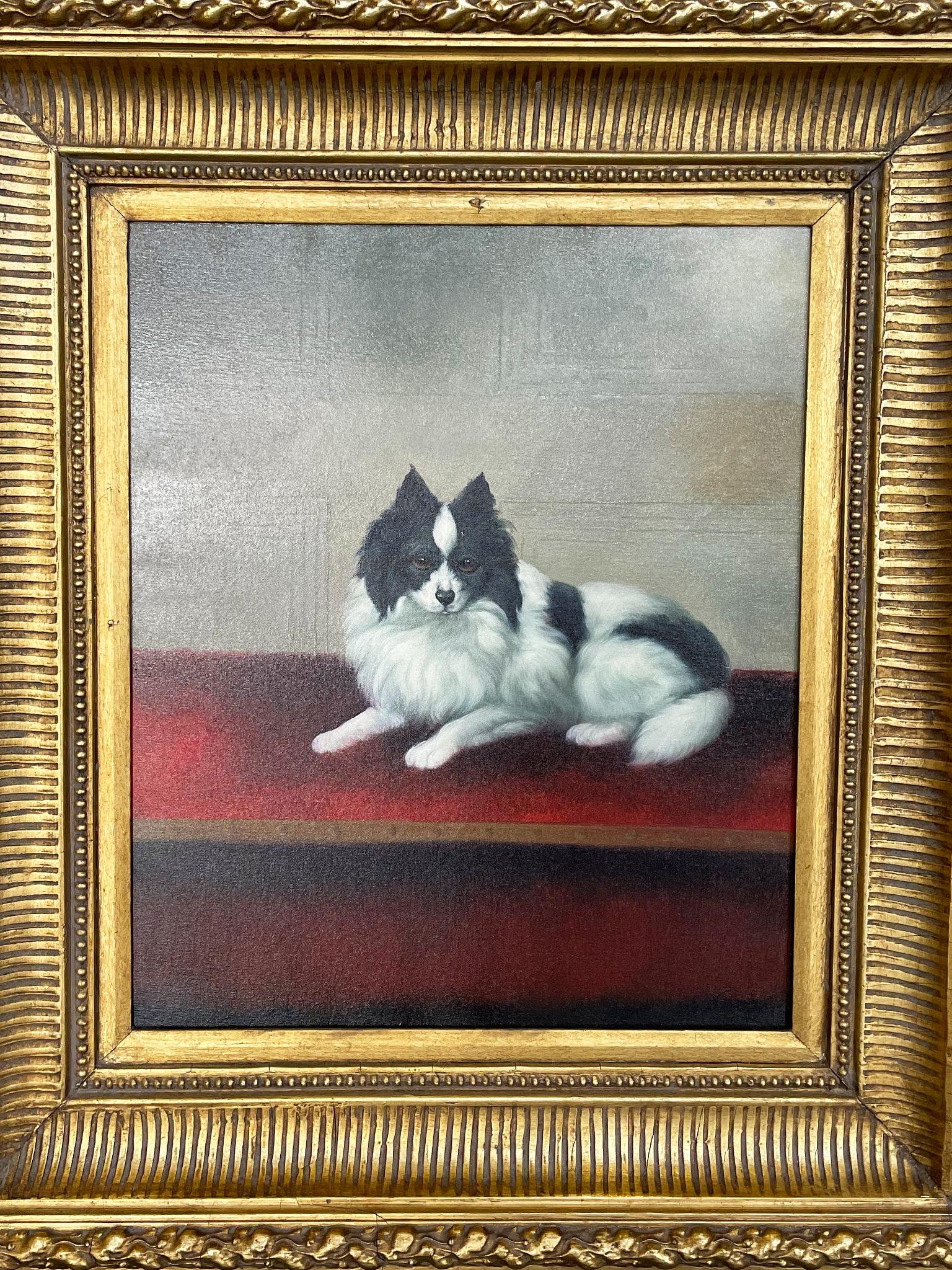 An oil-on-canvas portrait of a black-and-white papillon. Signed by N. Jacob at bottom right of the canvas. The painting is framed in an ornate giltwood frame. 

Frame dimensions:
32.5 in. width x 36 in. height x 3.5 in. depth

Sight