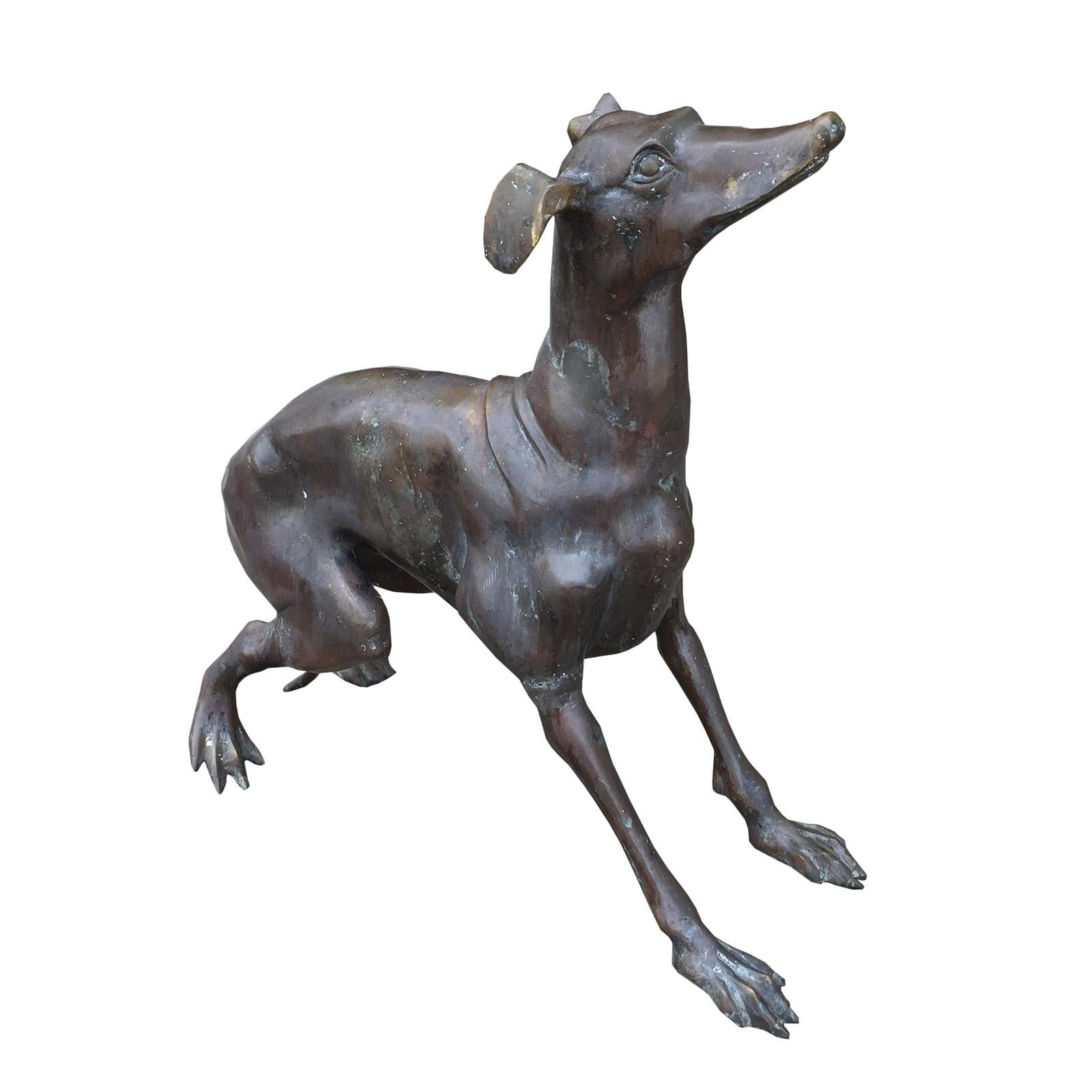 20th century patinated bronze whippet dog.
