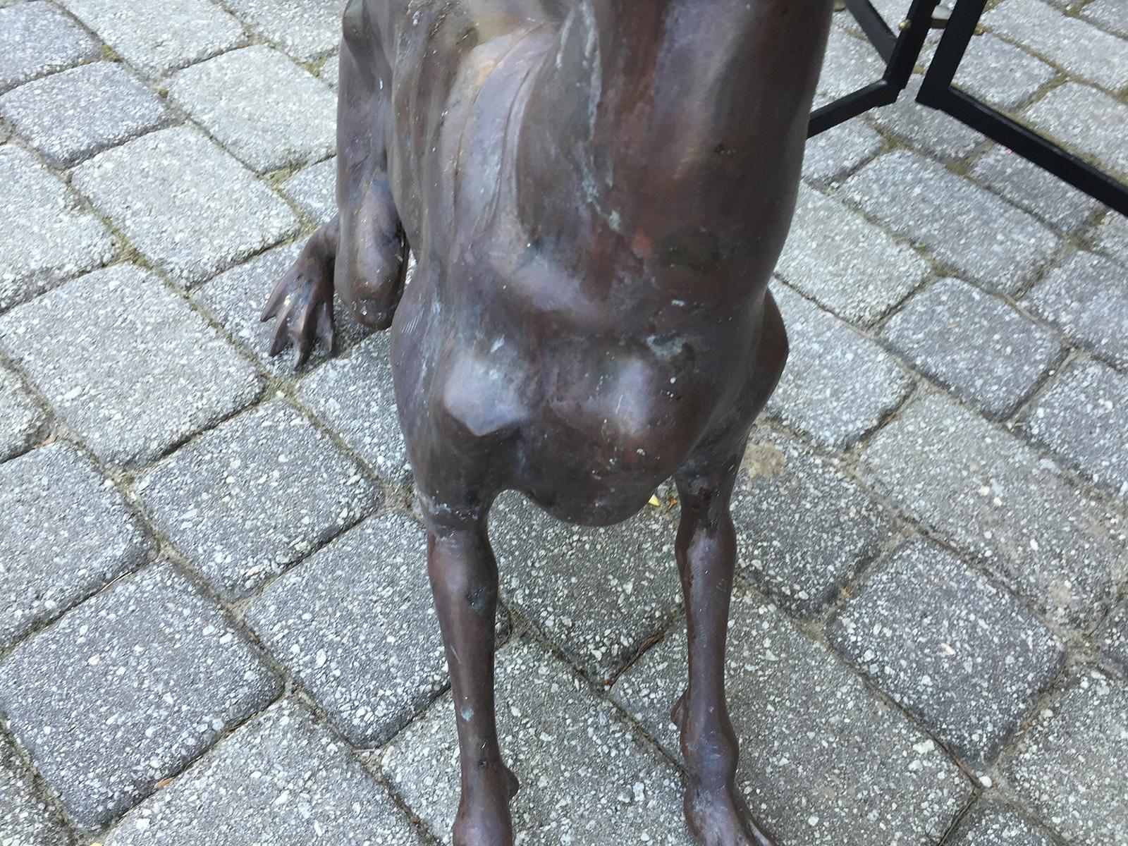 20th Century Patinated Bronze Whippet Dog For Sale 5