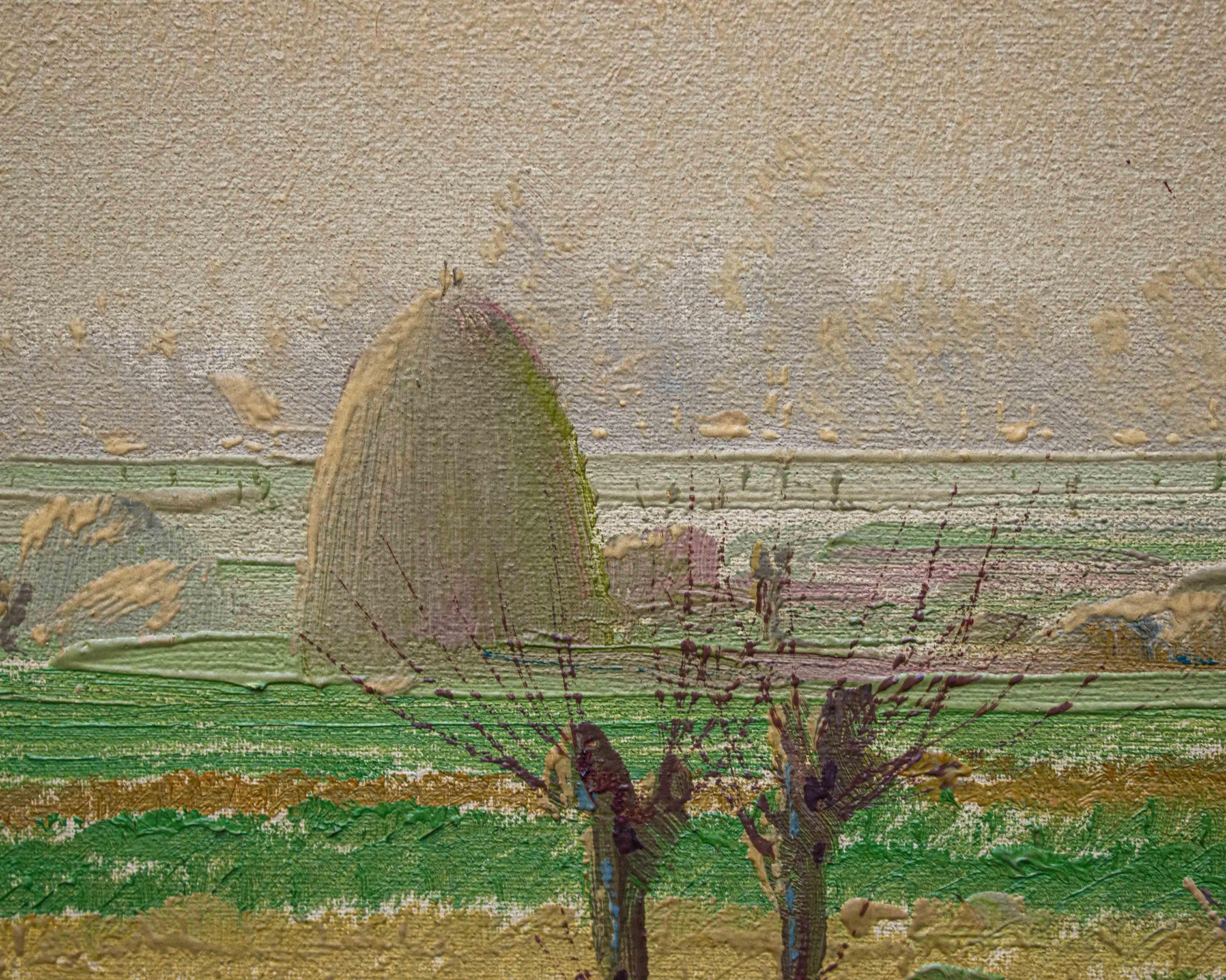 20th Century Plain Landscape Oil on Canvas by Giuseppe Pessina For Sale 3