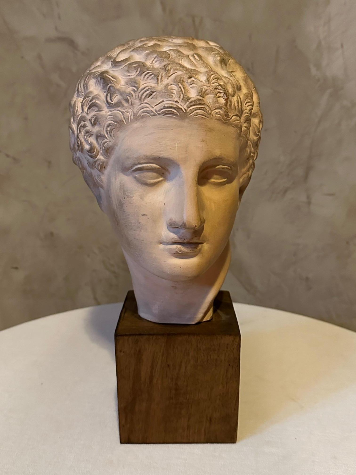 French 20th century Plaster Greek Head on Wooden Base, 1950s