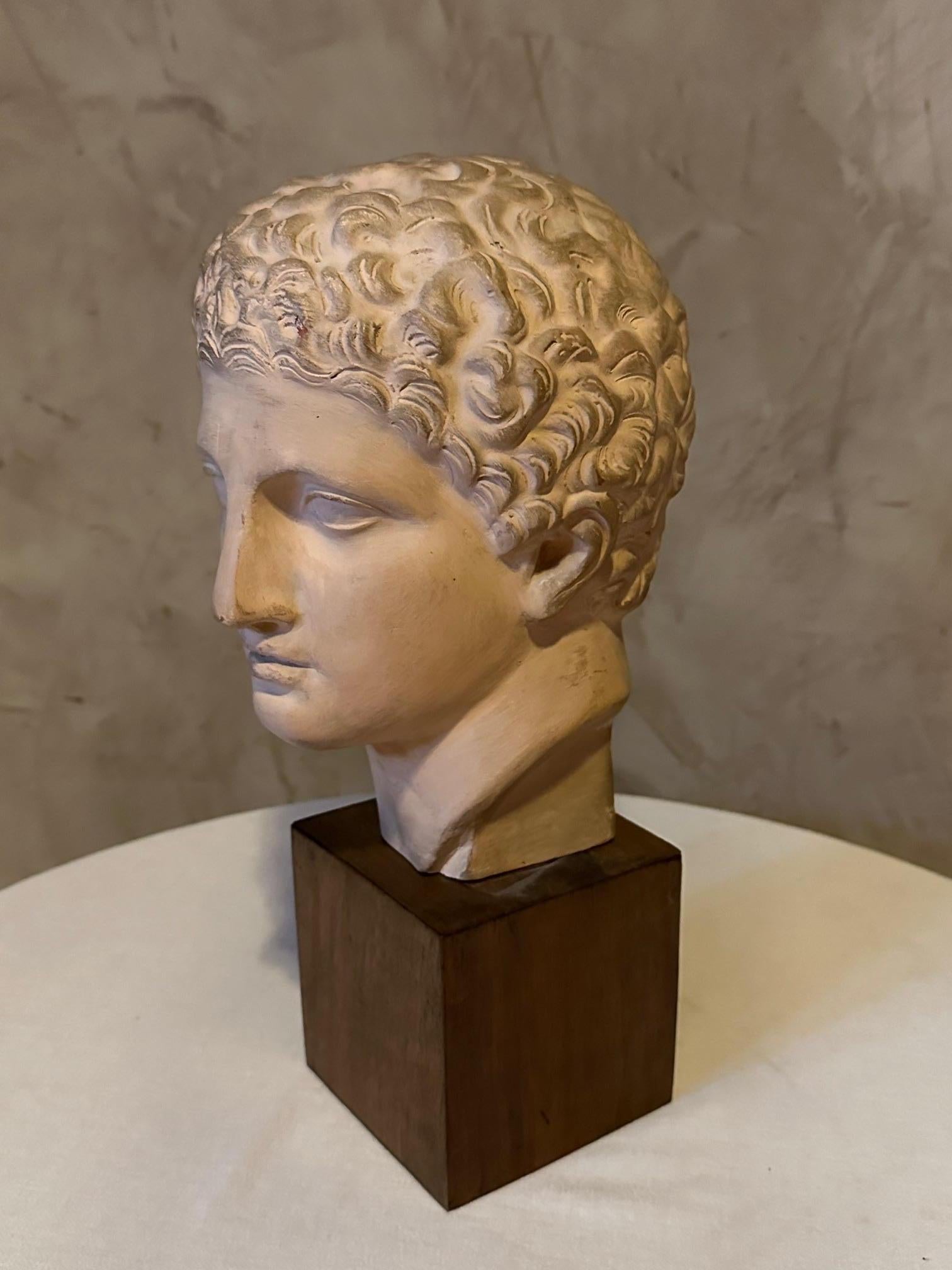 20th century Plaster Greek Head on Wooden Base, 1950s In Good Condition In LEGNY, FR