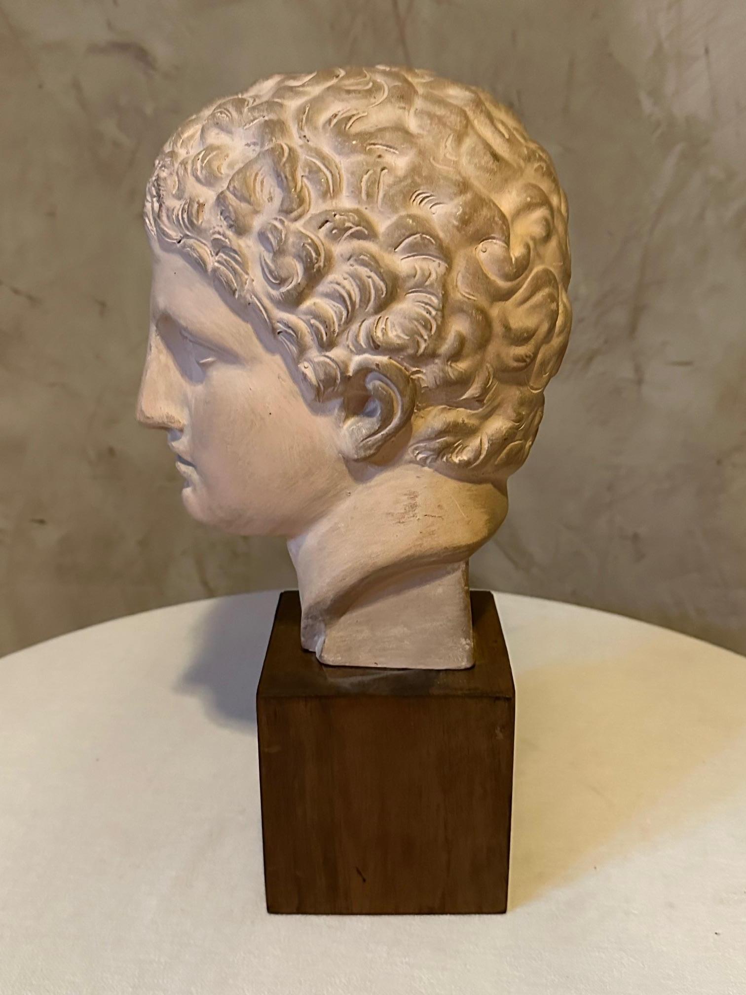 20e siècle Tête grecque en plâtre sur base en bois, années 1950 Bon état à LEGNY, FR