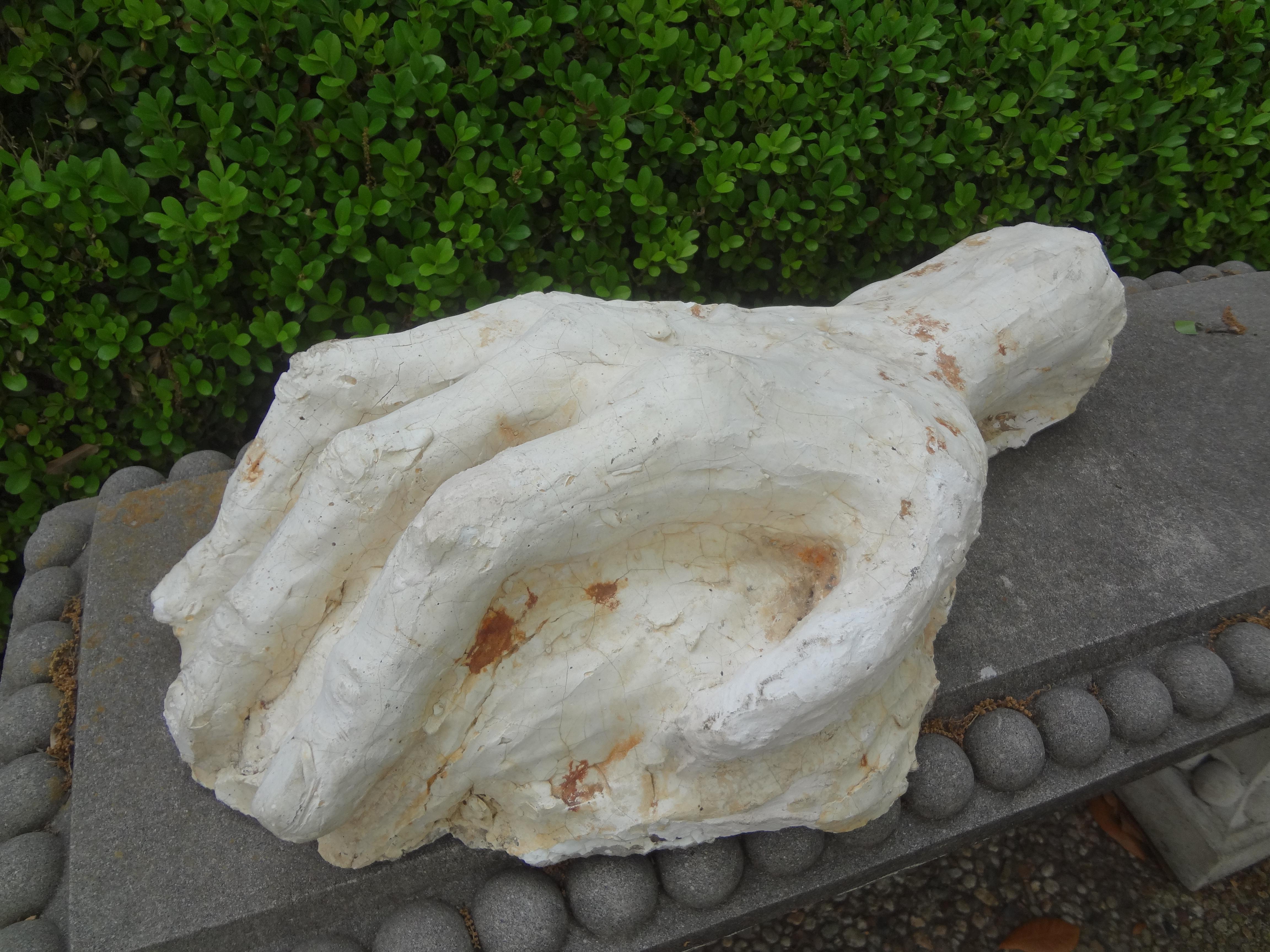 20th century Academic study plaster hand sculpture.
Monumental 20th century academic study plaster hand sculpture. A stunning coffee table accessory!