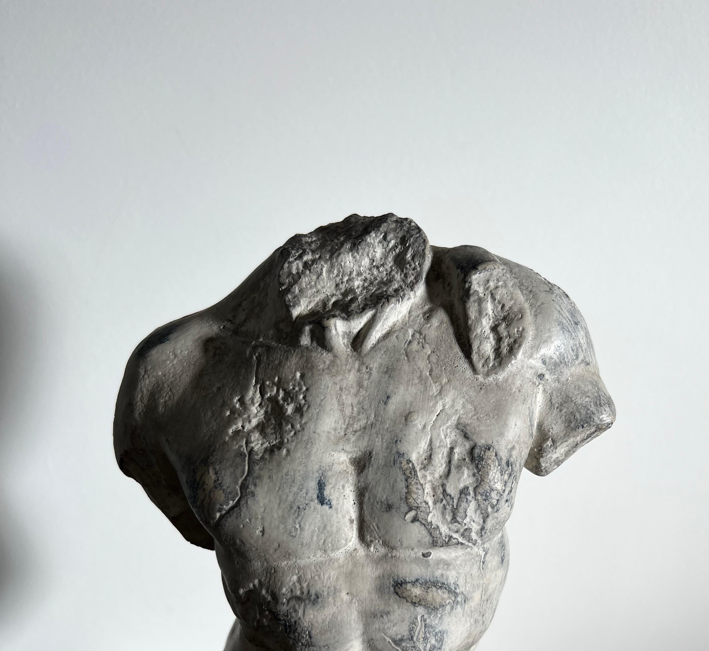 20th Century Plaster Statue of Nude Male Torso, D’après the Classics 6