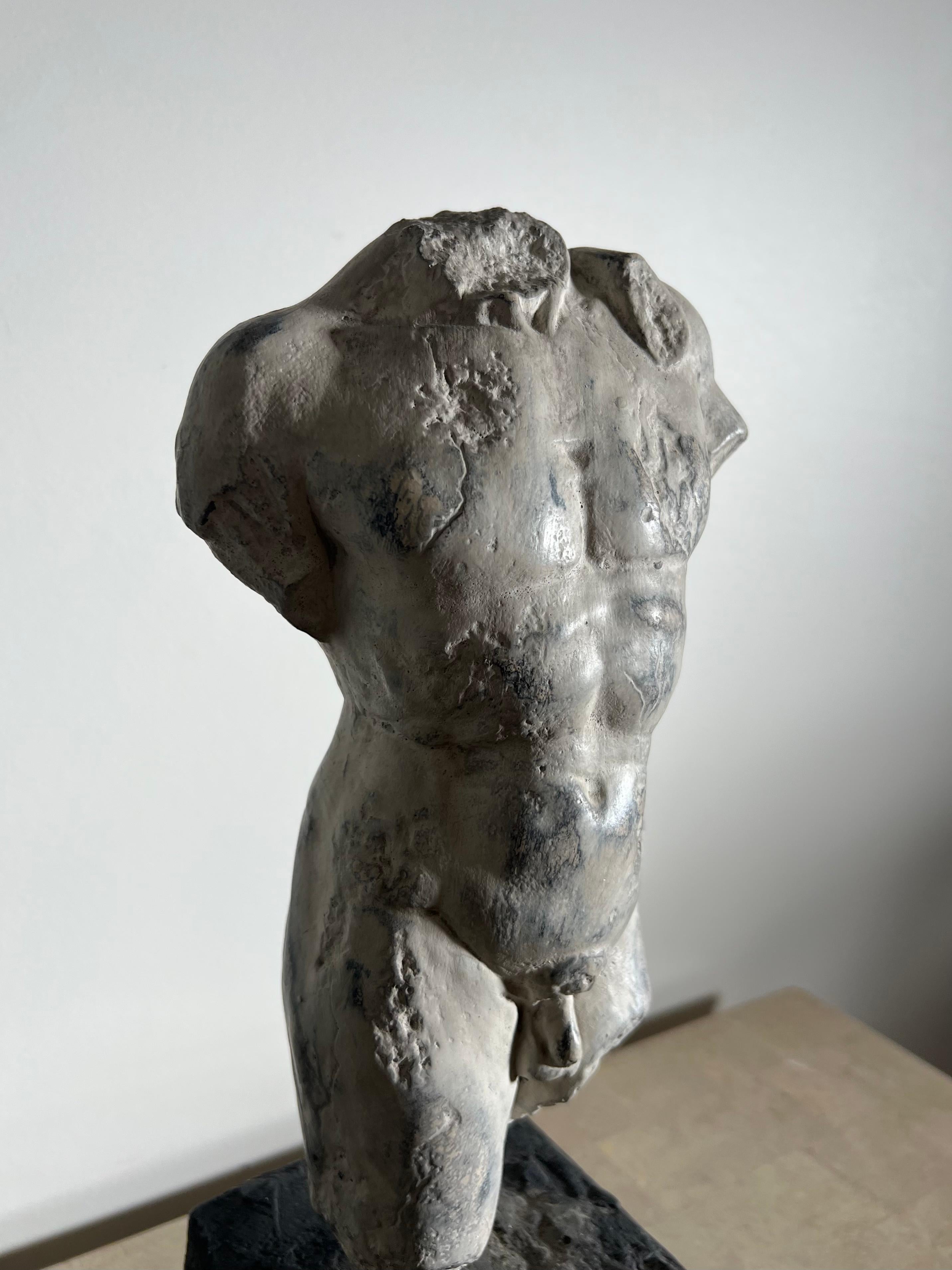 20th Century Plaster Statue of Nude Male Torso, D’après the Classics 8