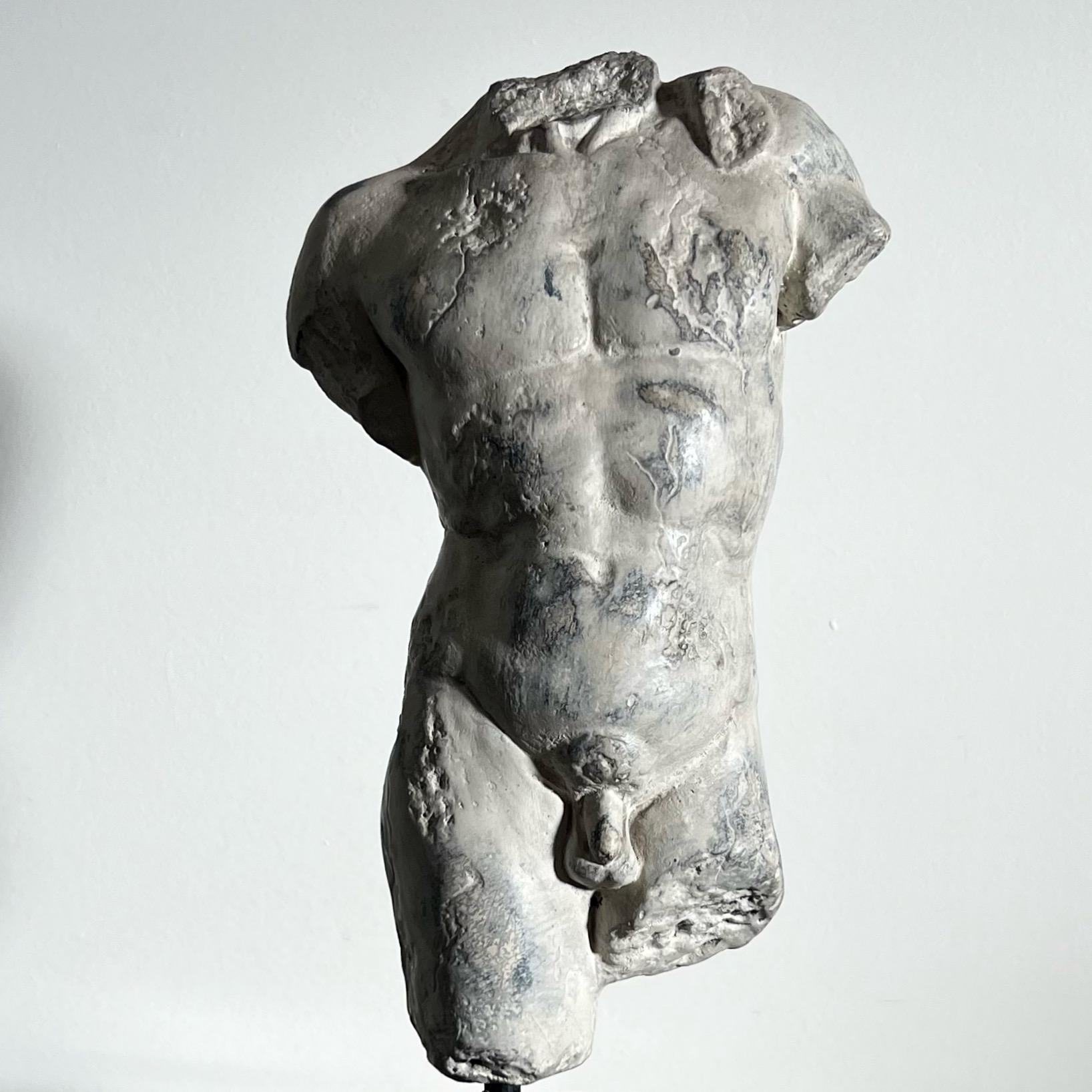 20th Century Plaster Statue of Nude Male Torso, D’après the Classics 11