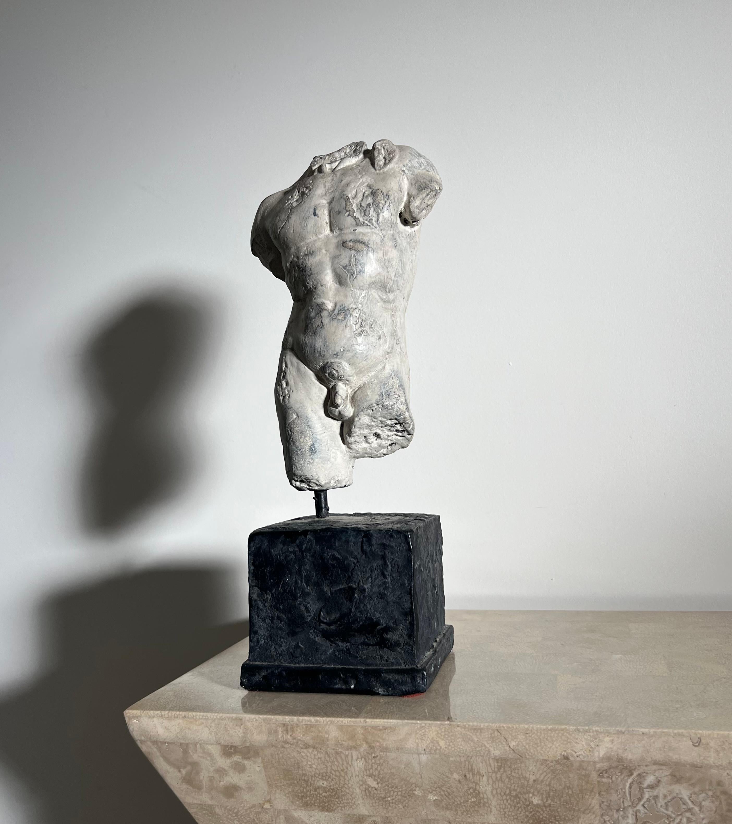 20th Century Plaster Statue of Nude Male Torso, D’après the Classics 12