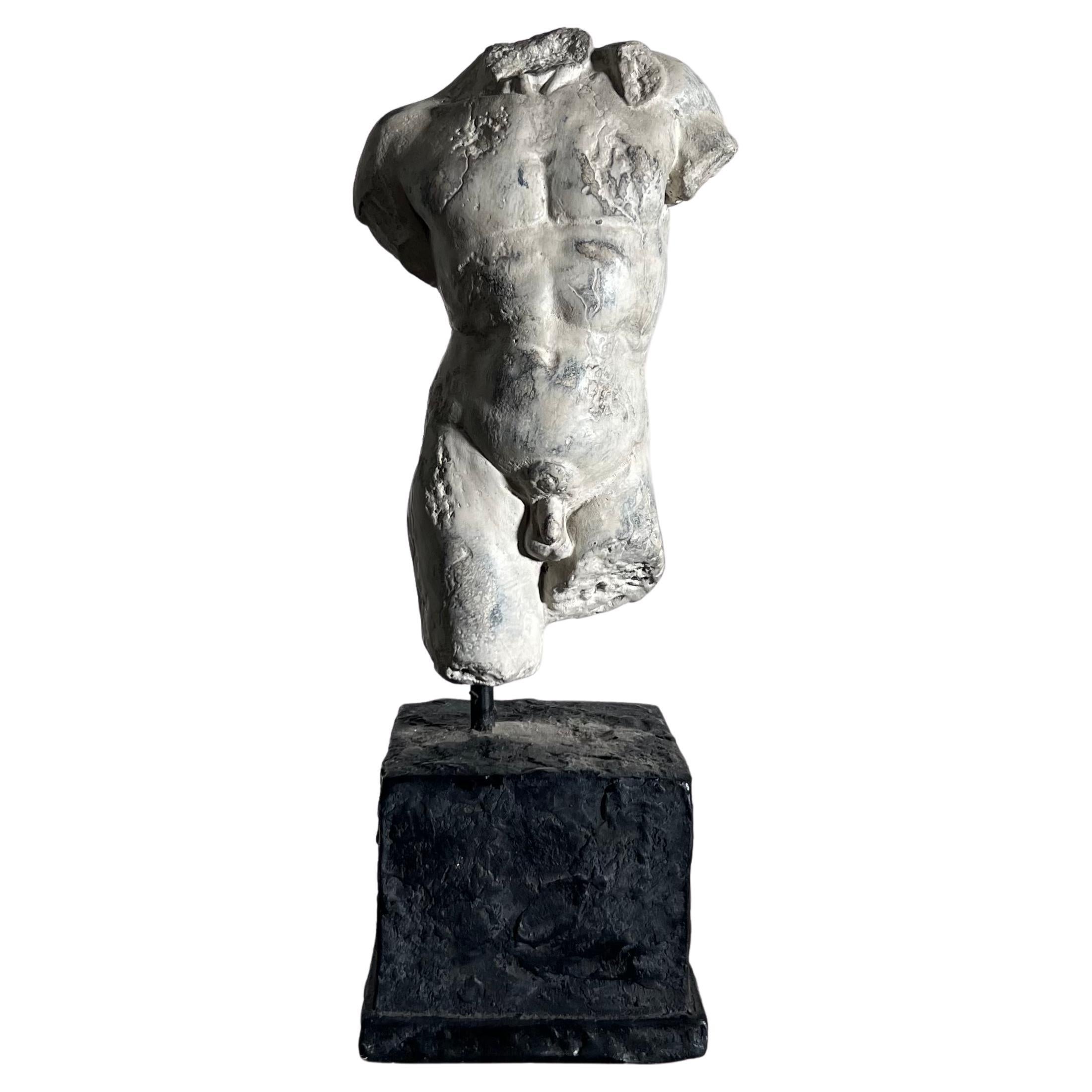 20th Century Plaster Statue of Nude Male Torso, D’après the Classics