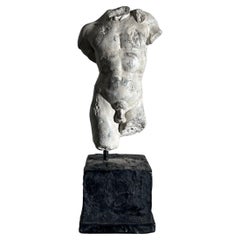 Statue en plâtre du 20e siècle représentant un torse d'homme nu, Daprs the Classics