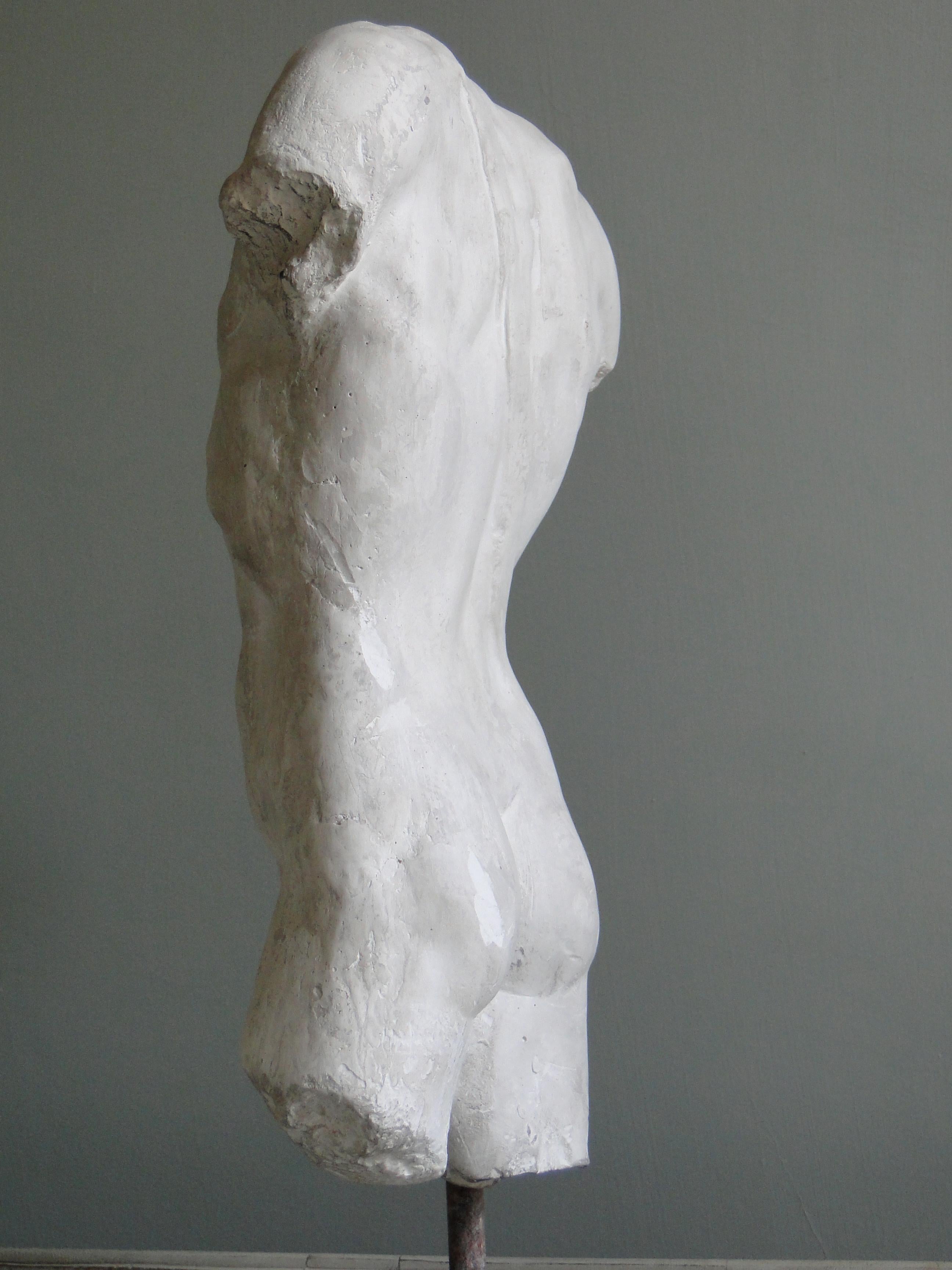 European 20th Century Plaster Torso