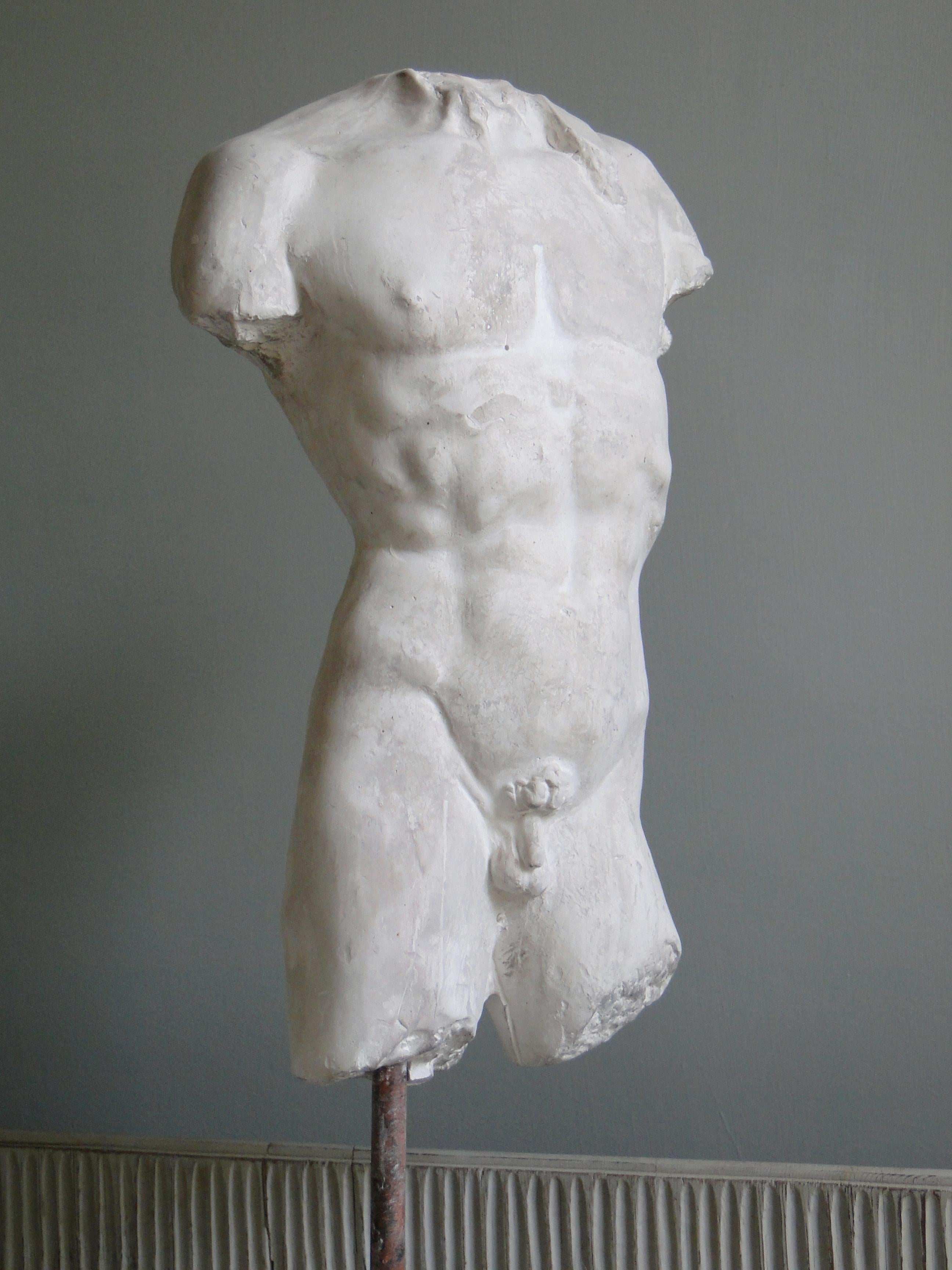 Mid-20th Century 20th Century Plaster Torso